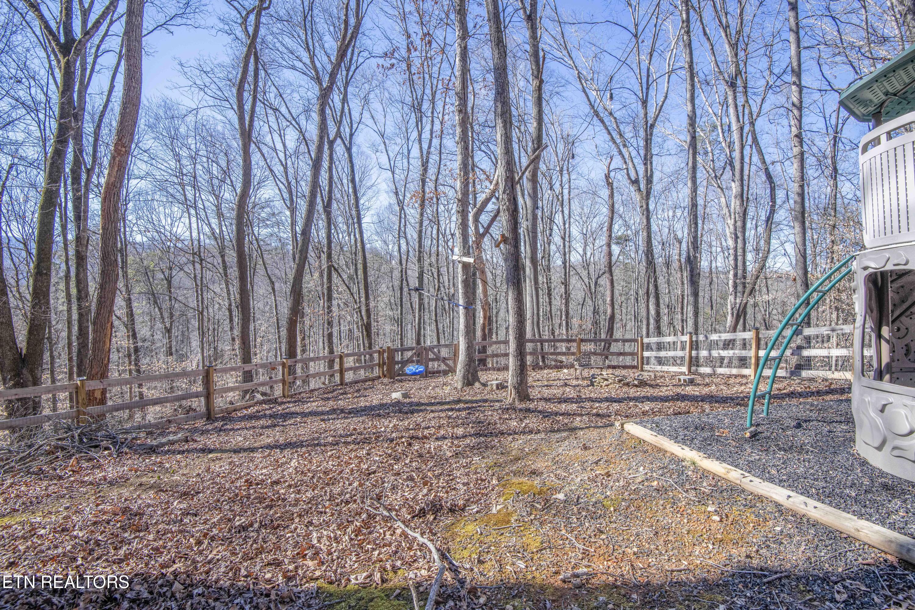 231 Mountain Lake Drive Rocky Top TN 37769