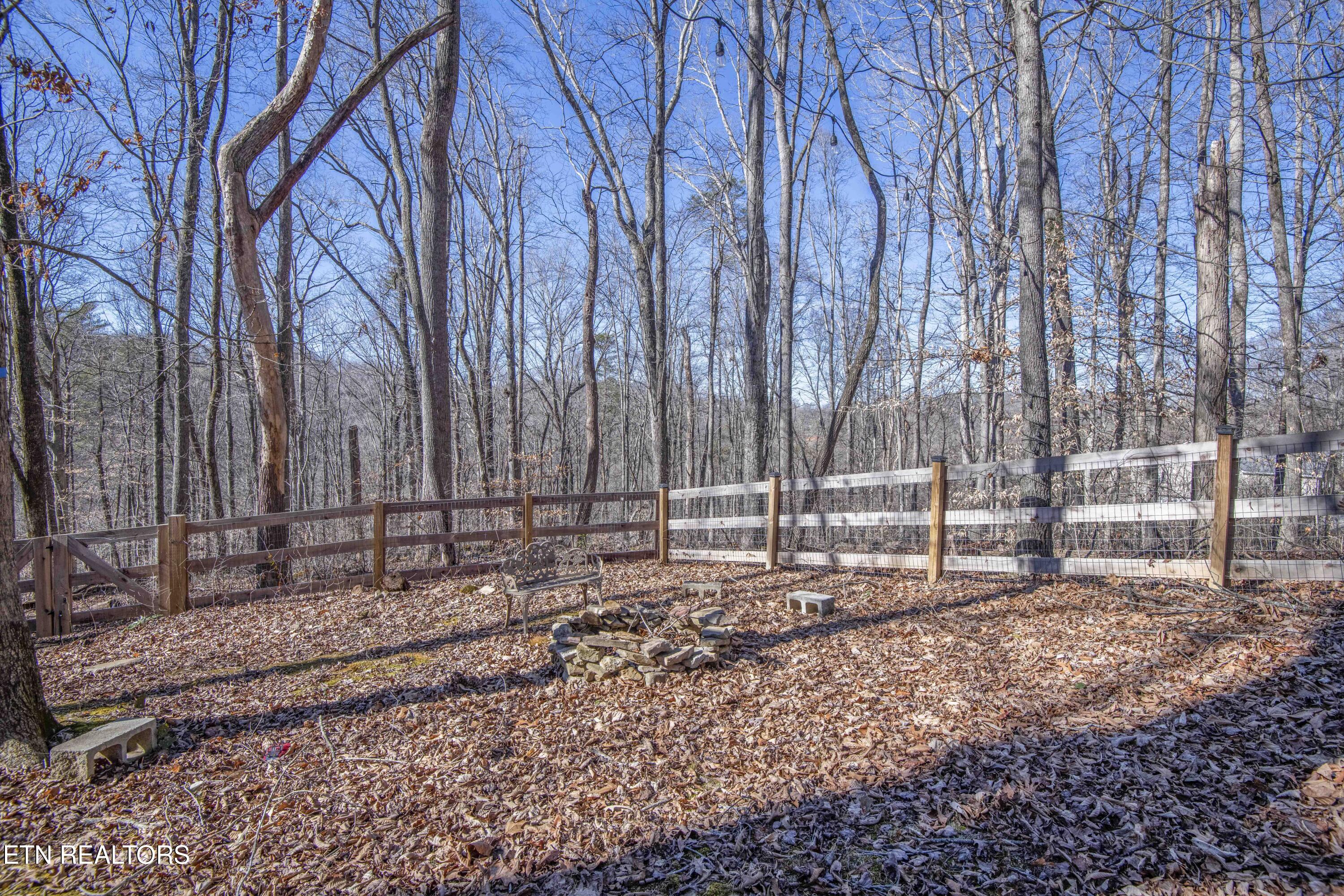 231 Mountain Lake Drive Rocky Top TN 37769