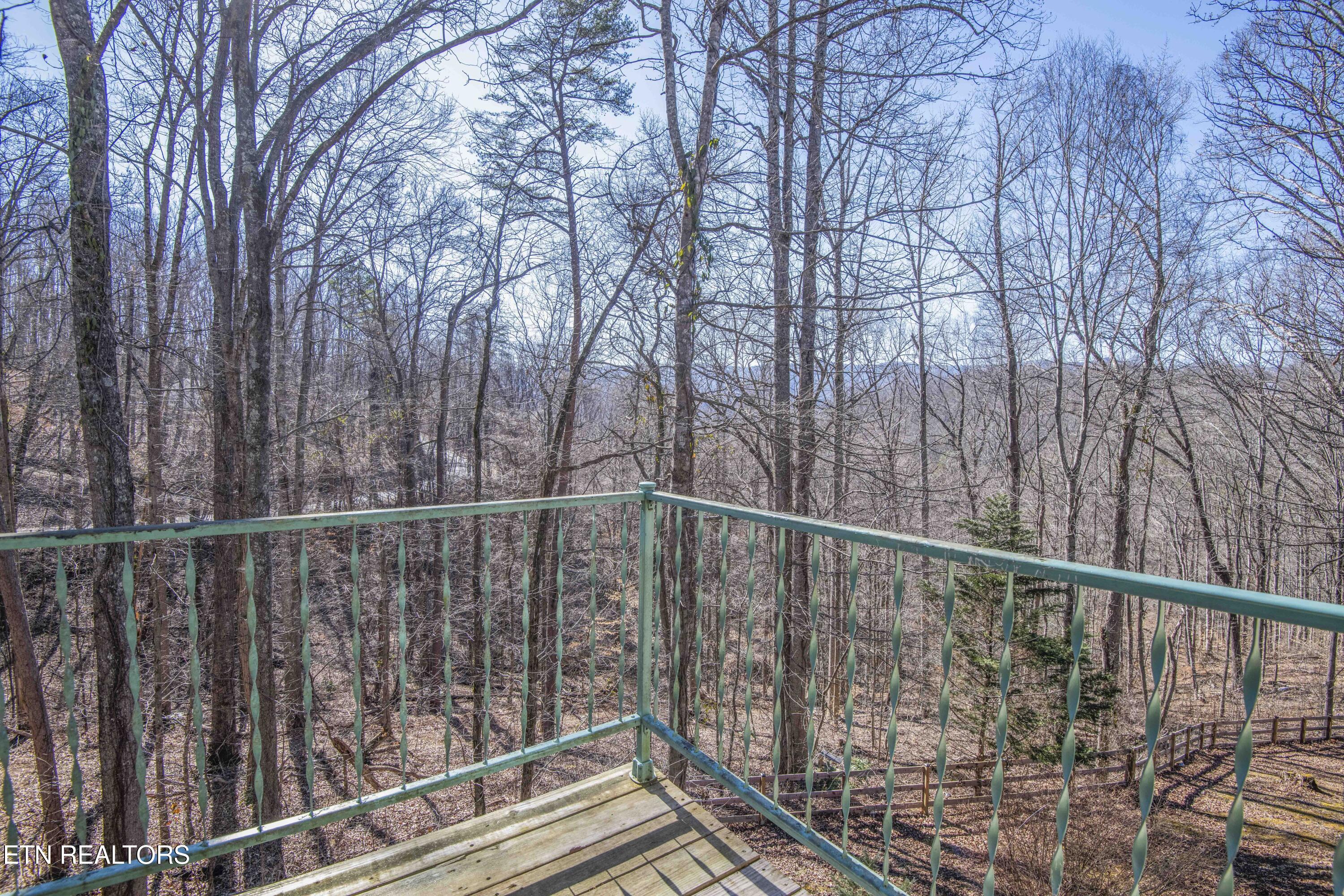 231 Mountain Lake Drive Rocky Top TN 37769