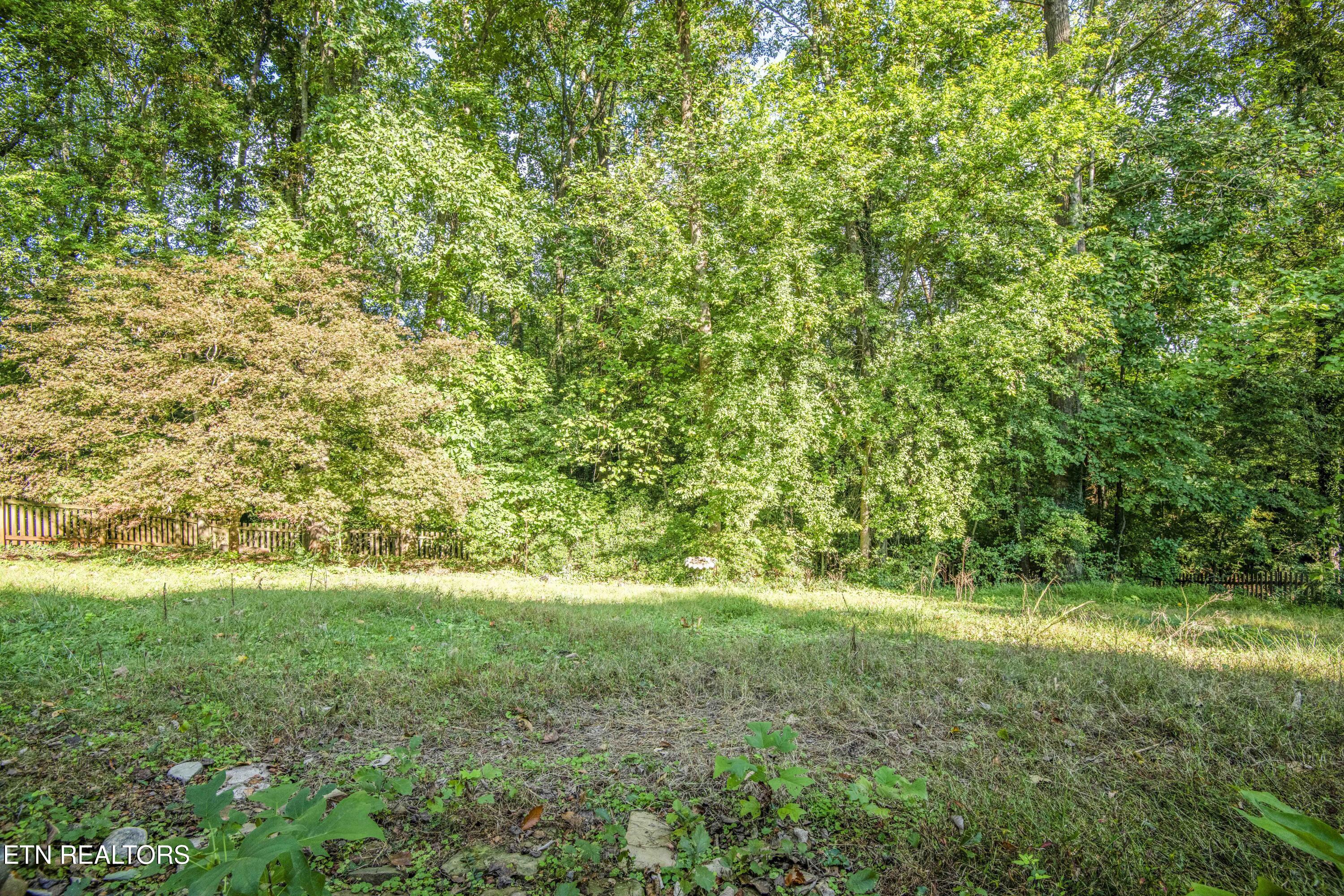 7705 Twining Drive Knoxville TN 37919