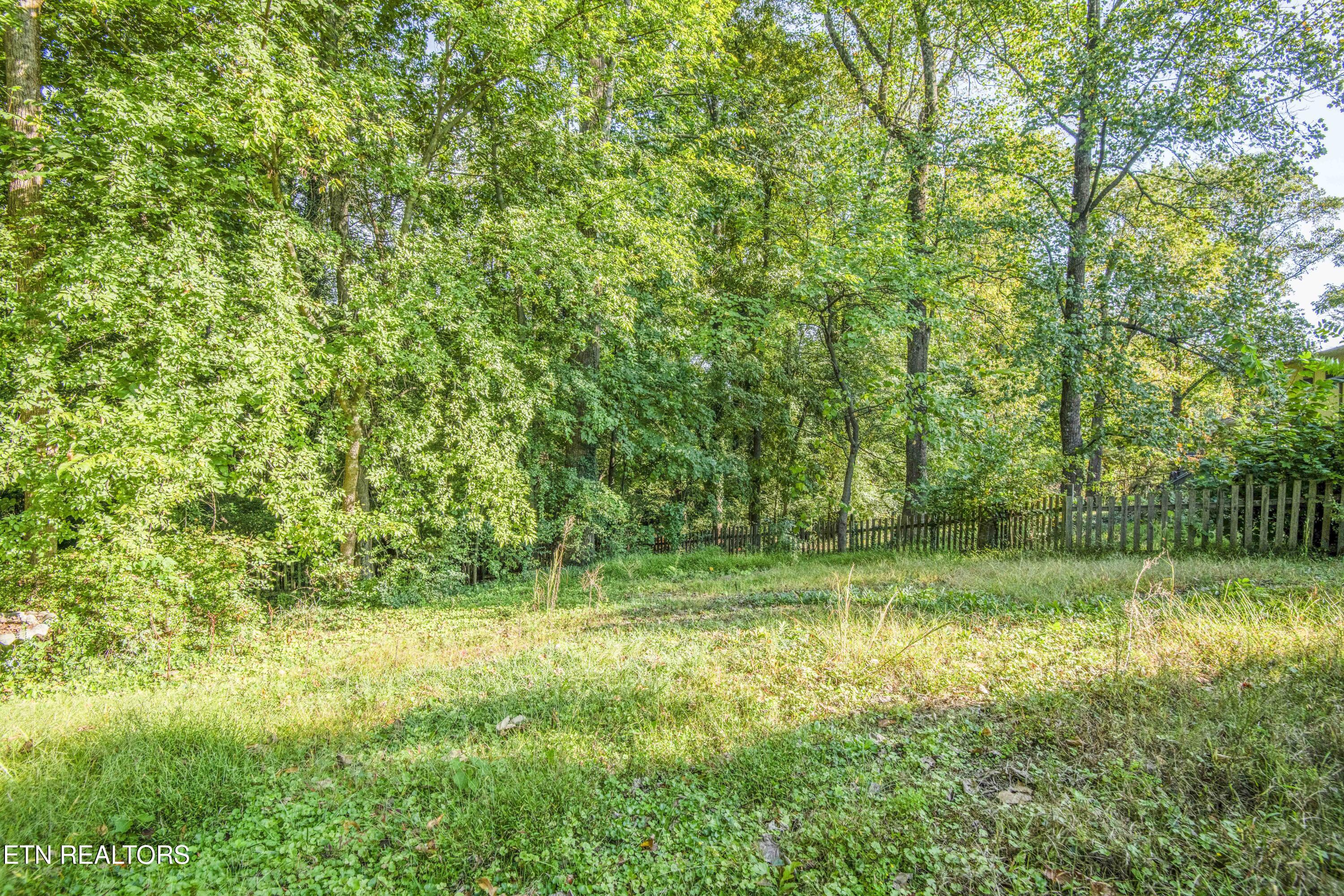 7705 Twining Drive Knoxville TN 37919