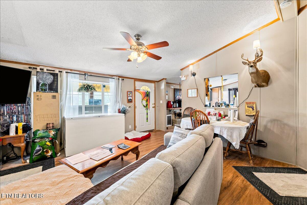 177 Marine Lane Maynardville TN 37807
