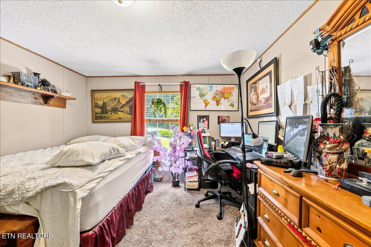 177 Marine Lane Maynardville TN 37807
