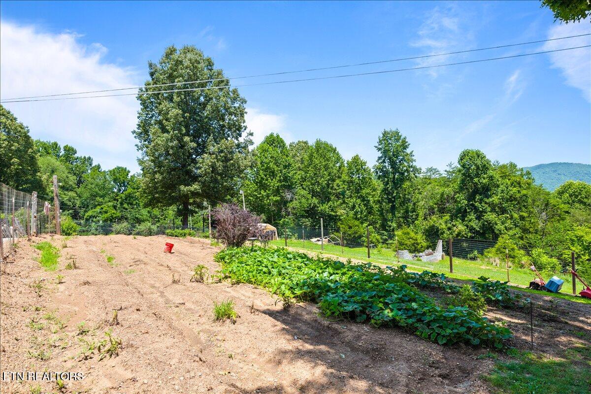 177 Marine Lane Maynardville TN 37807