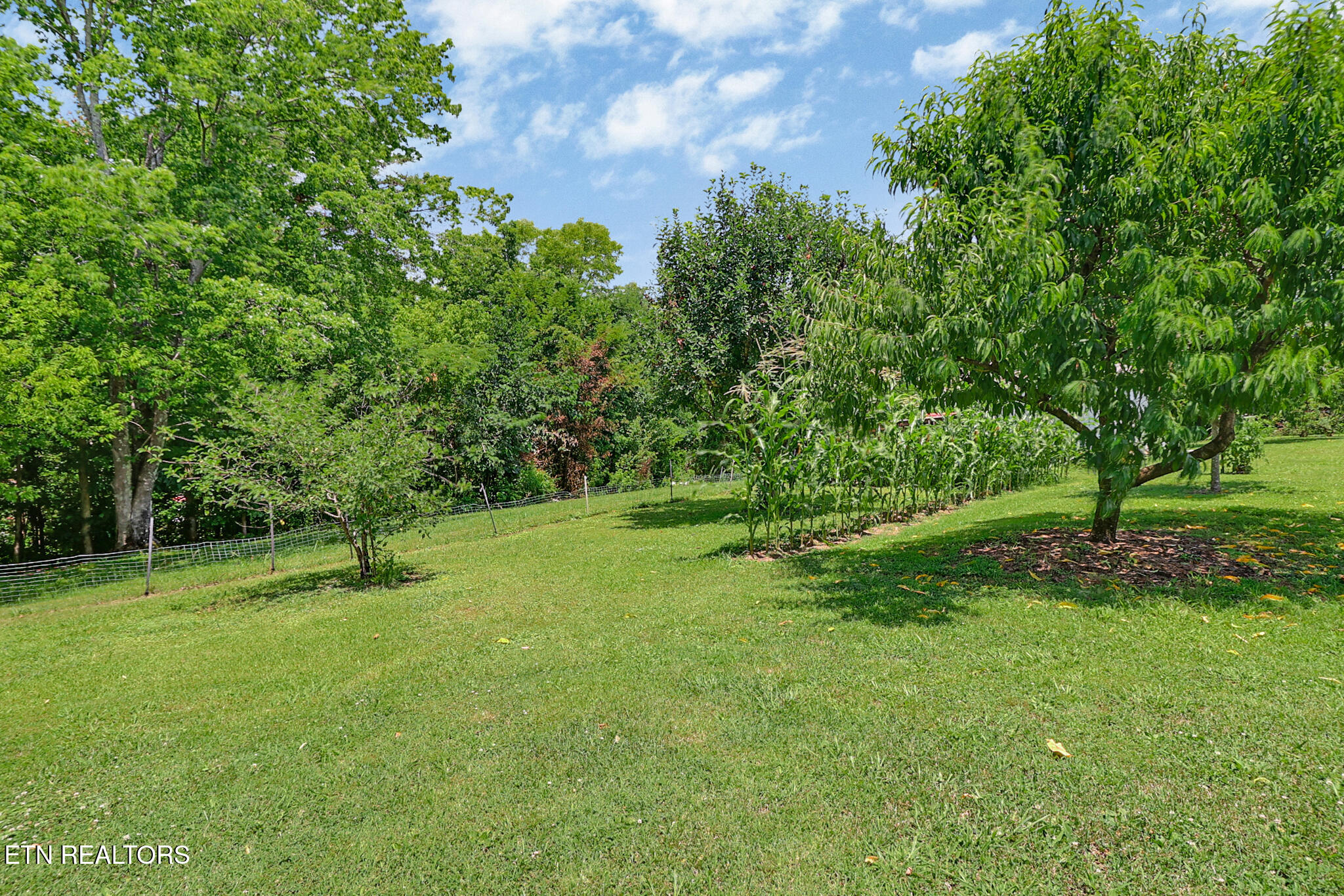 211 Omega Street Harriman TN 37748