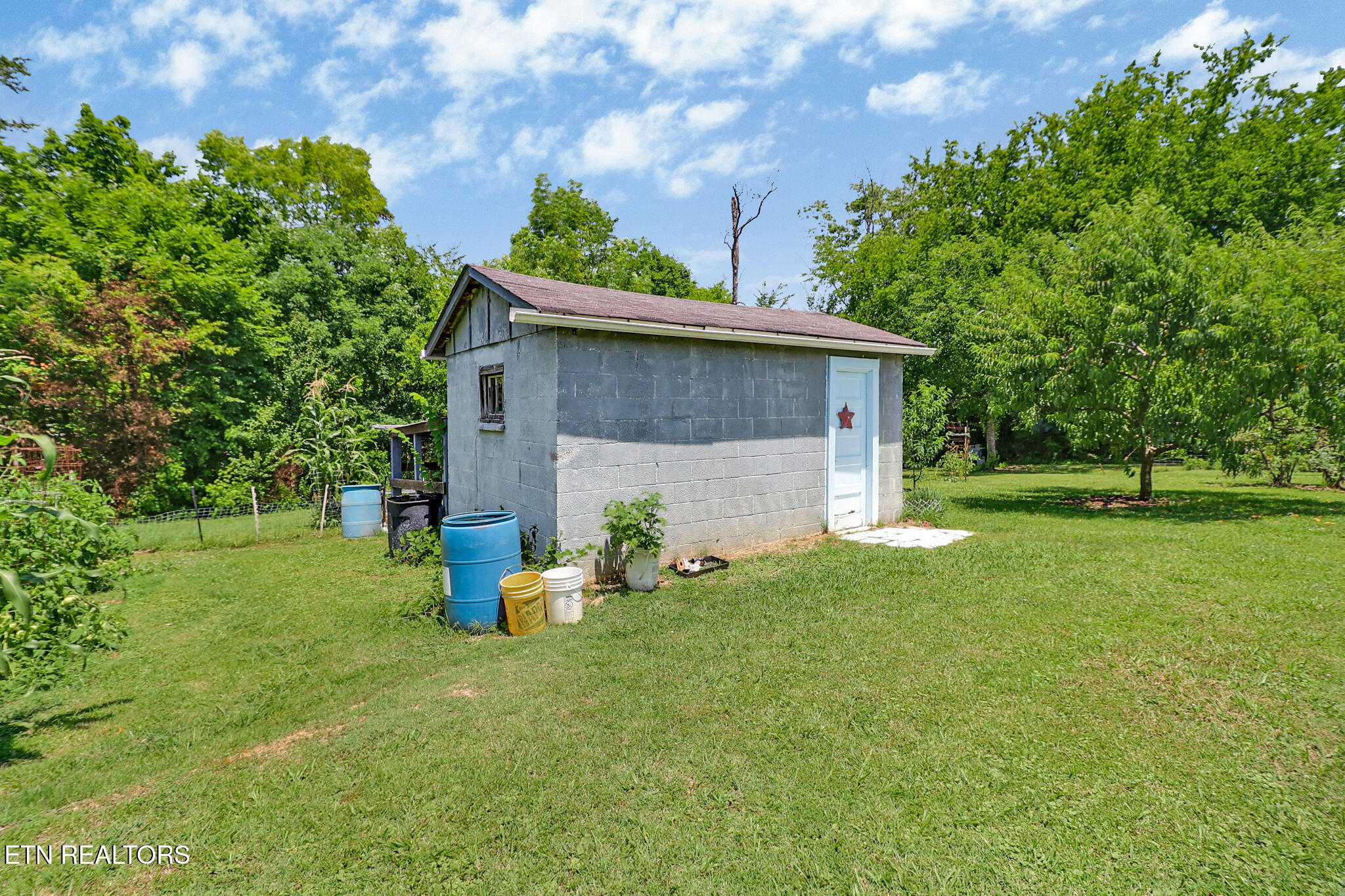211 Omega Street Harriman TN 37748