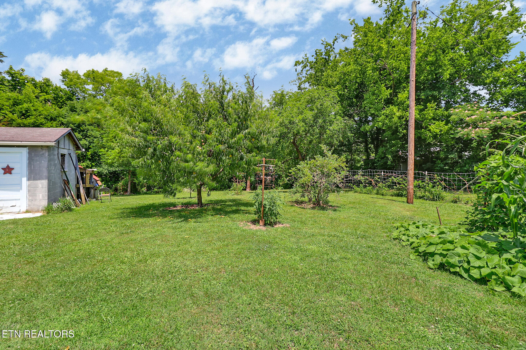 211 Omega Street Harriman TN 37748