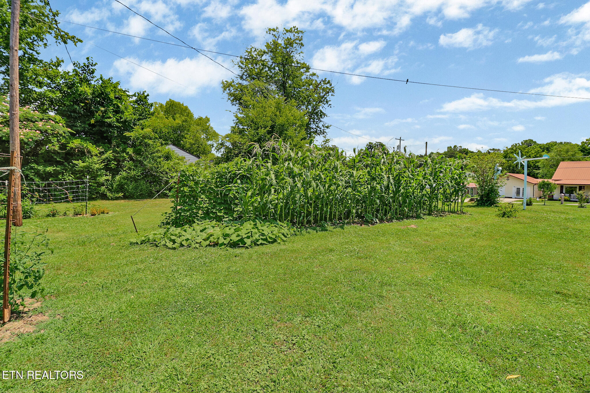 211 Omega Street Harriman TN 37748