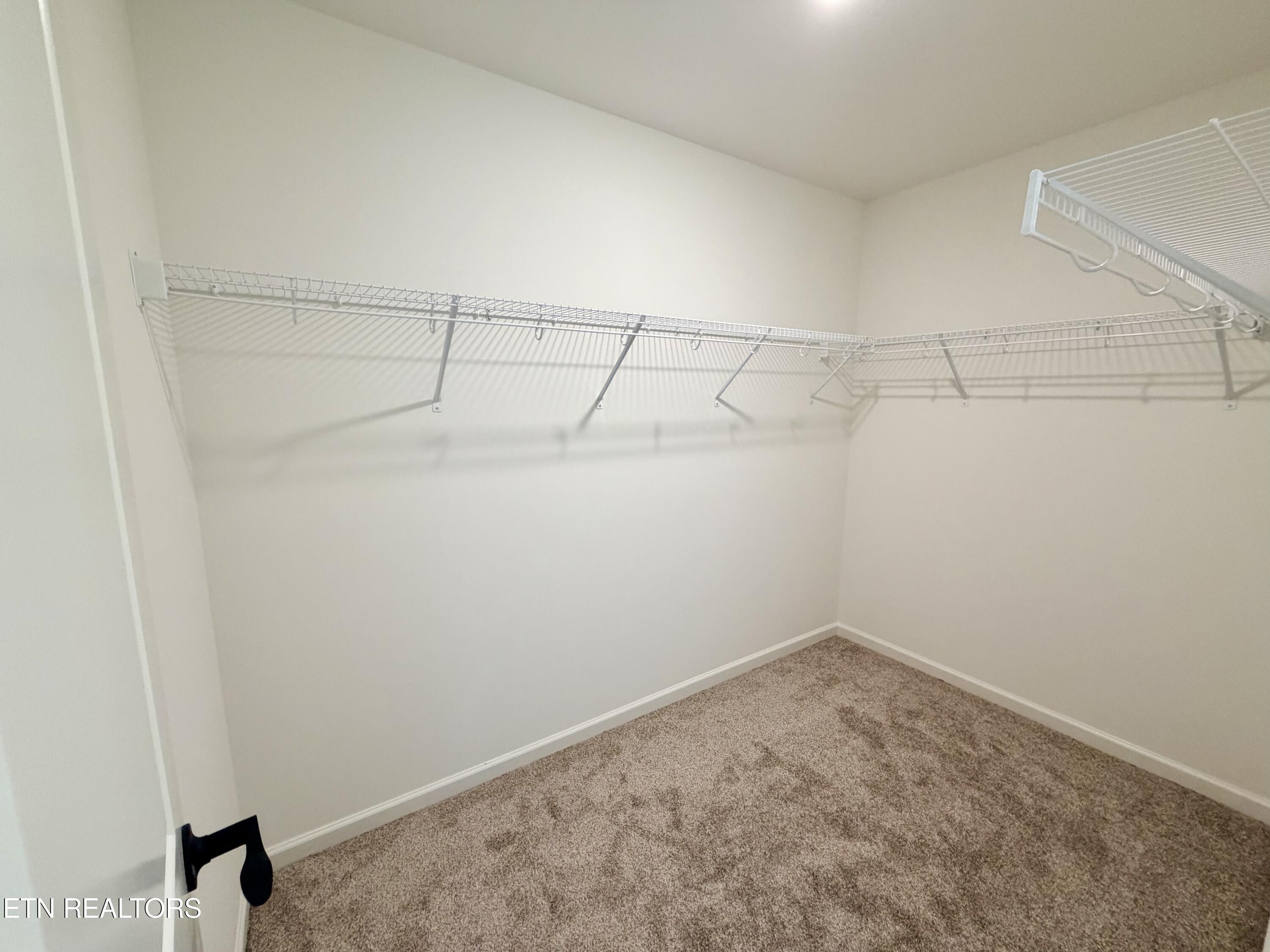 3629 Trailing Vine Lane Knoxville TN 37931