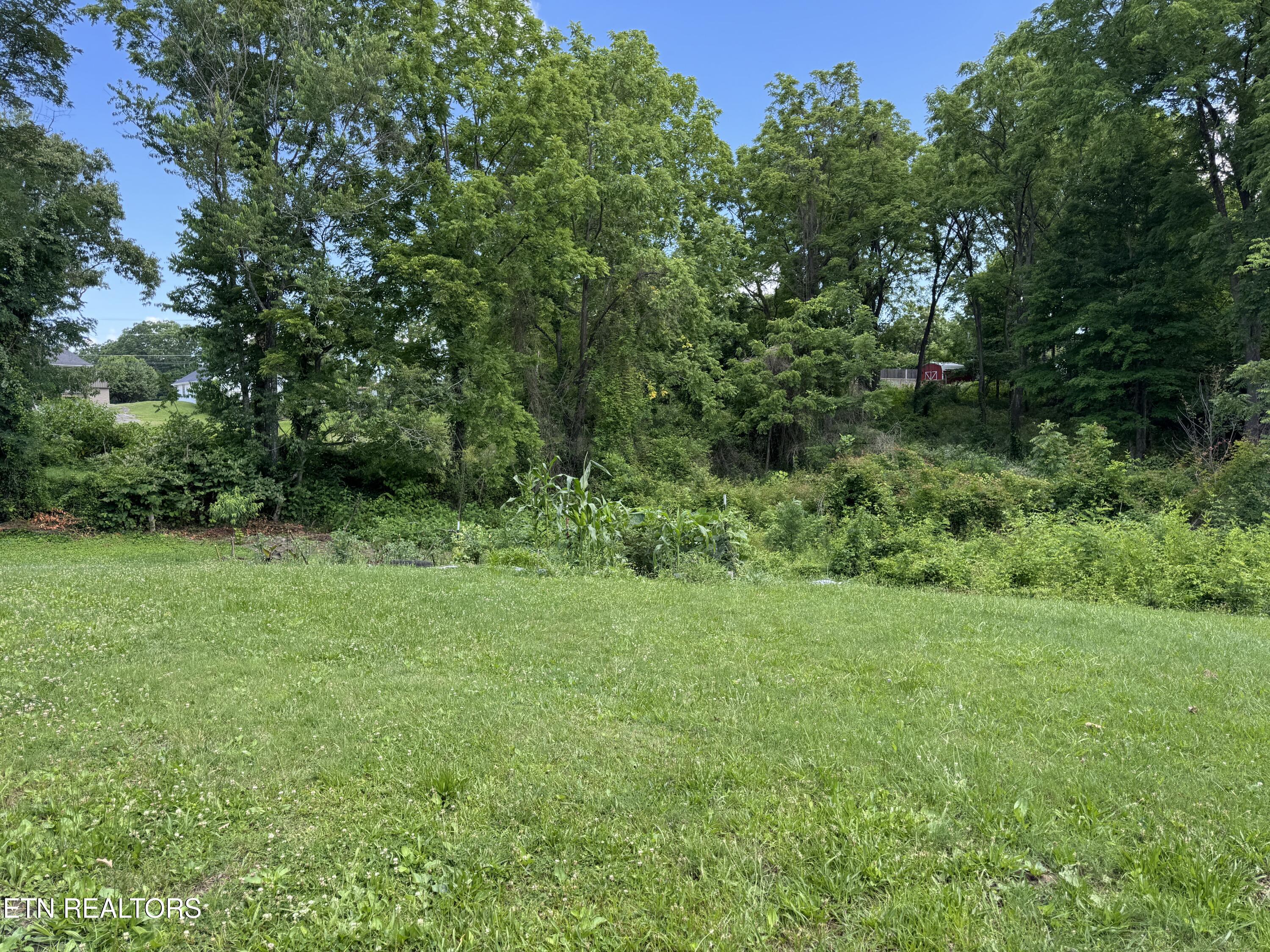 314 & 316 Wheeler Avenue Jamestown TN 38556