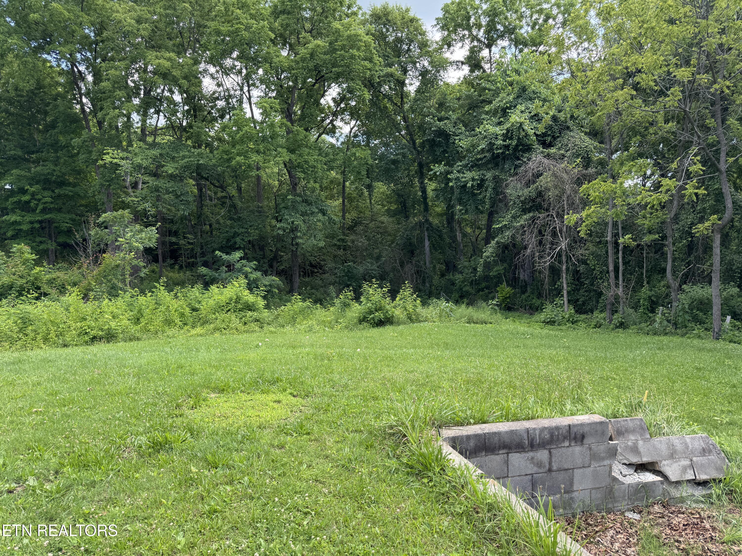 314 & 316 Wheeler Avenue Jamestown TN 38556