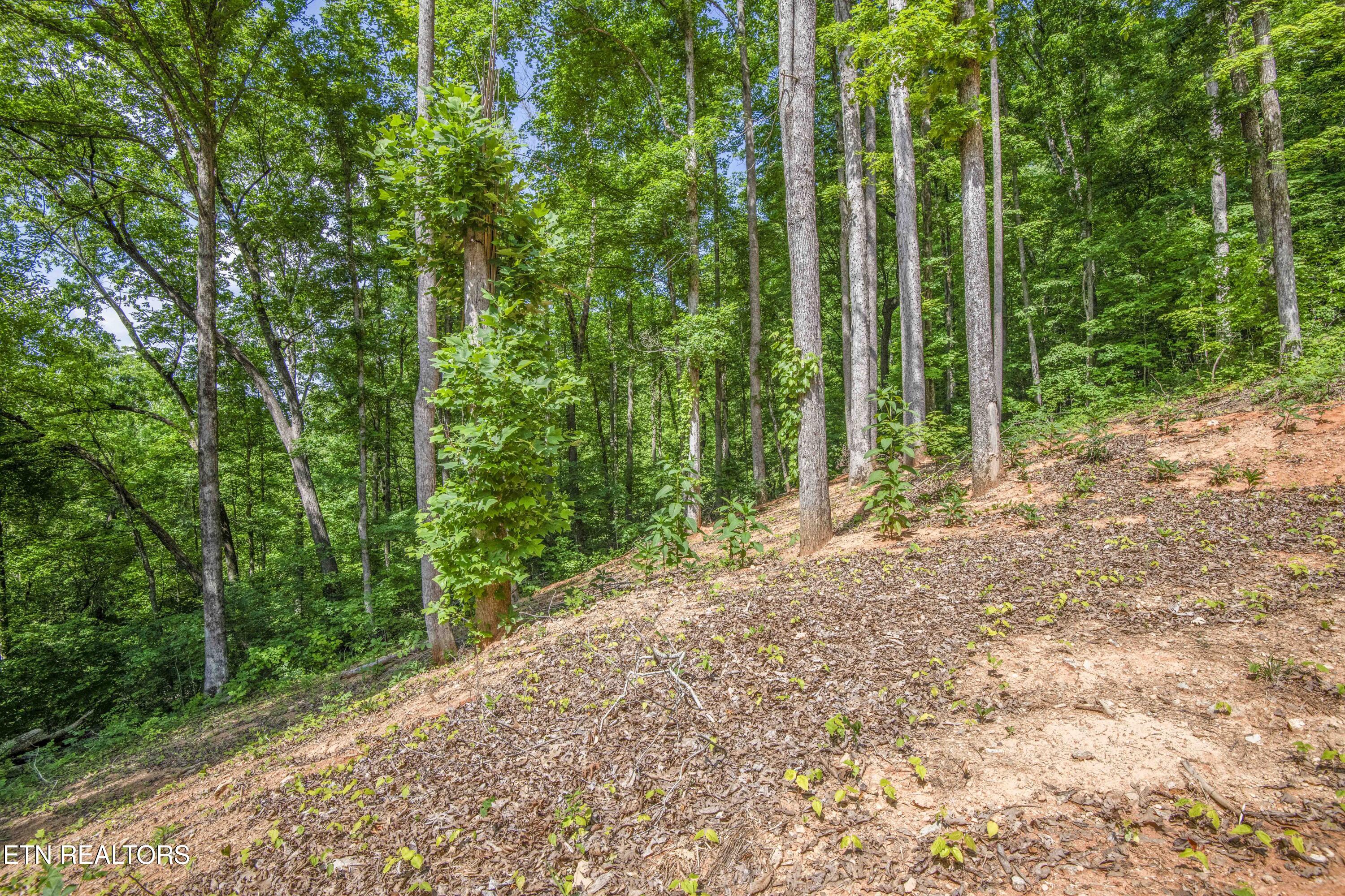 237 Johnson Valley Road Philadelphia TN 37846