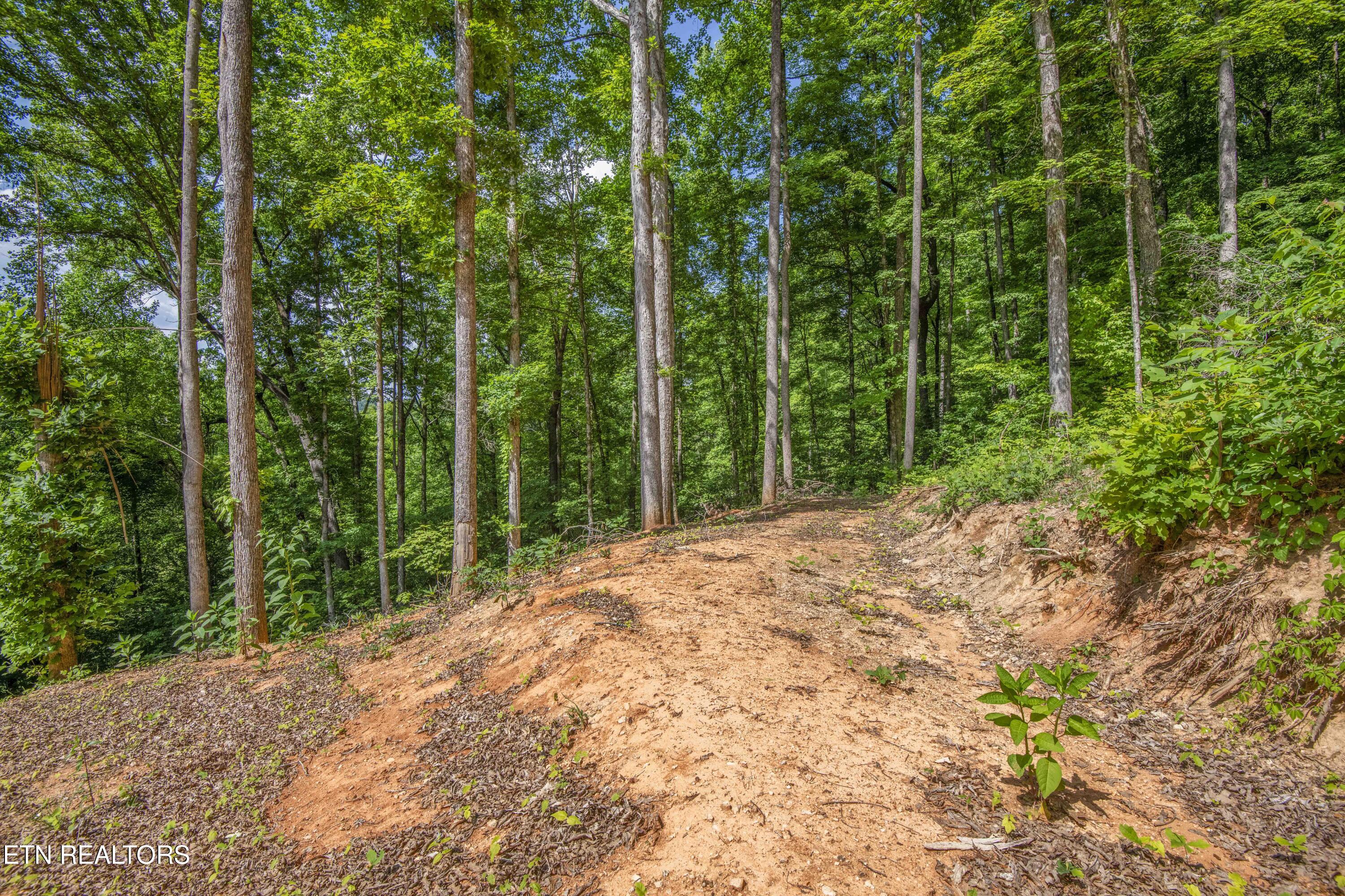 237 Johnson Valley Road Philadelphia TN 37846