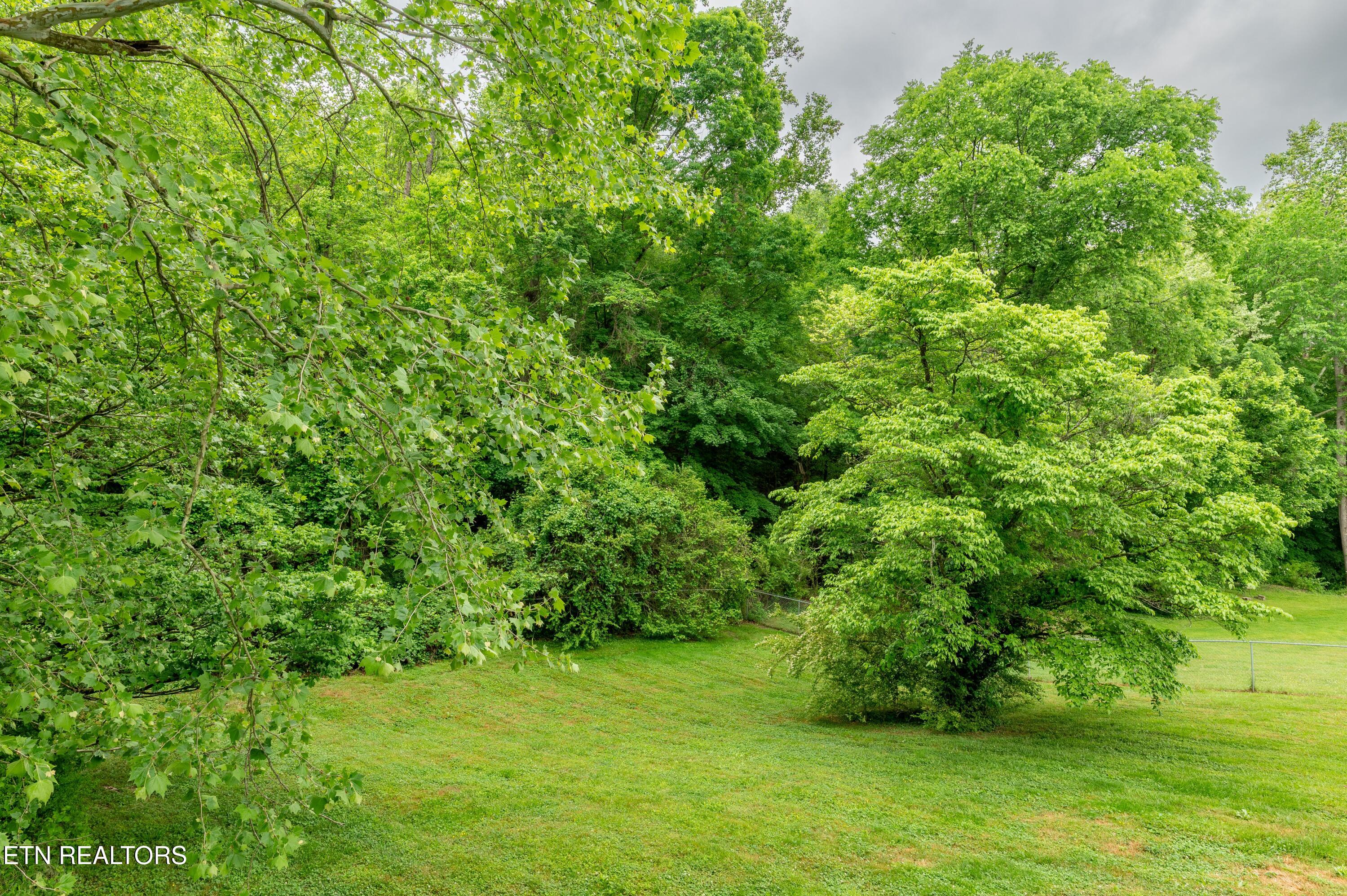 186 Blacksferry Road Knoxville TN 37931
