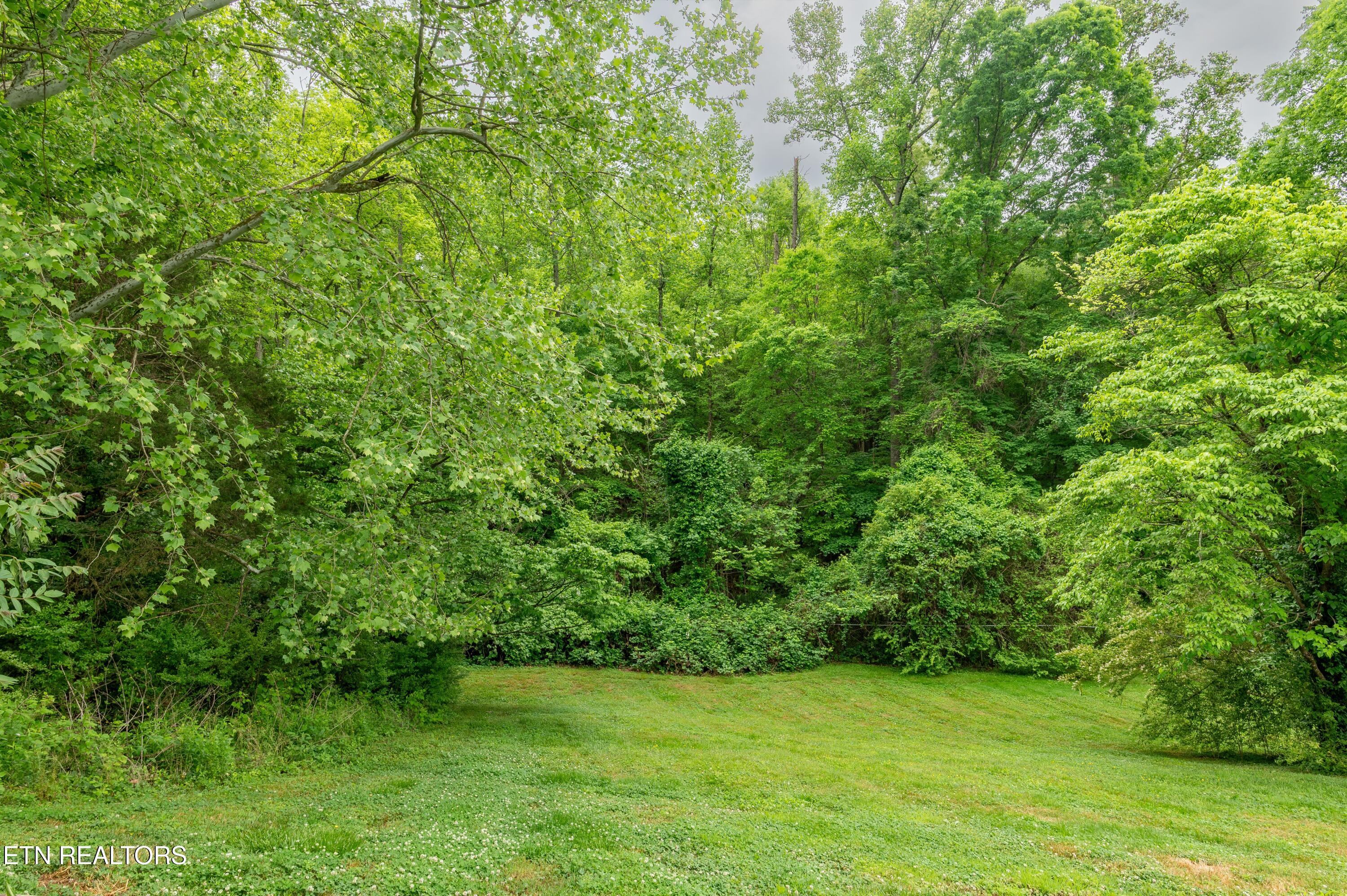 186 Blacksferry Road Knoxville TN 37931