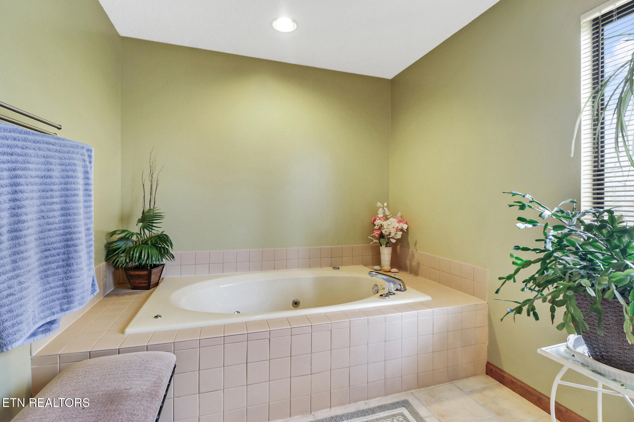 31 Kingsboro Lane Crossville TN 38558