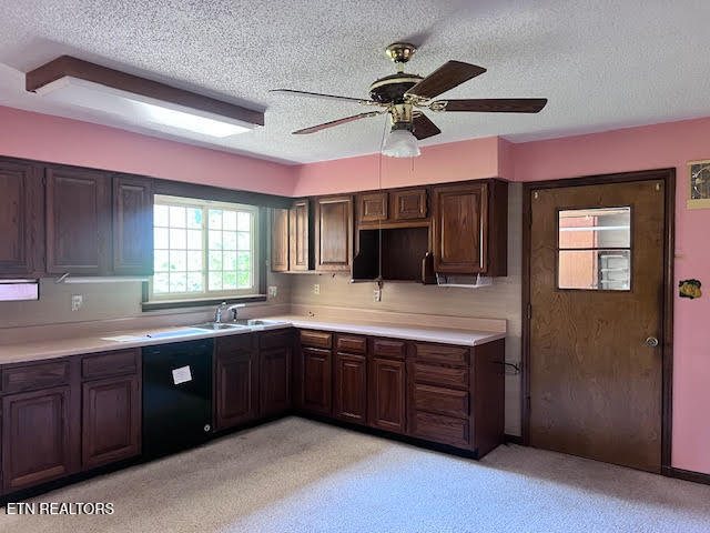 223 Saligugi Circle Loudon TN 37774