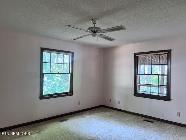223 Saligugi Circle Loudon TN 37774