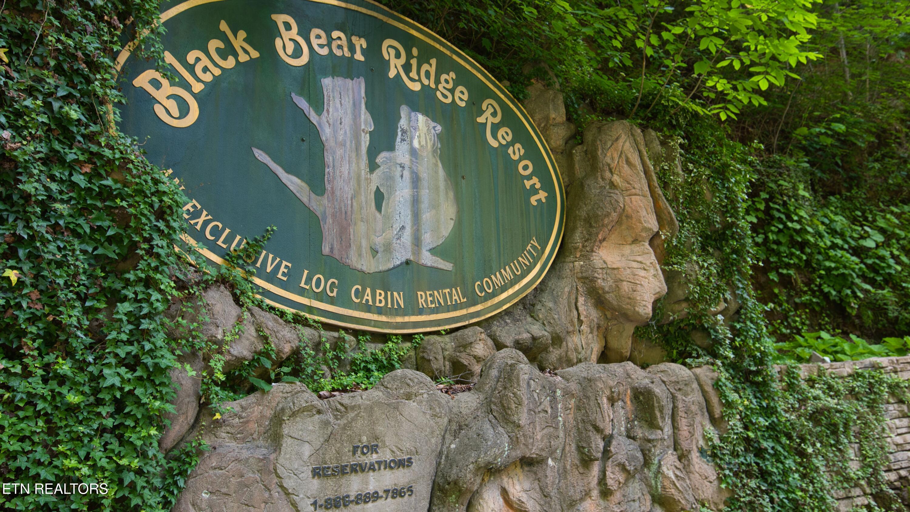 1124 Black Bear Cub Way Sevierville TN 37862