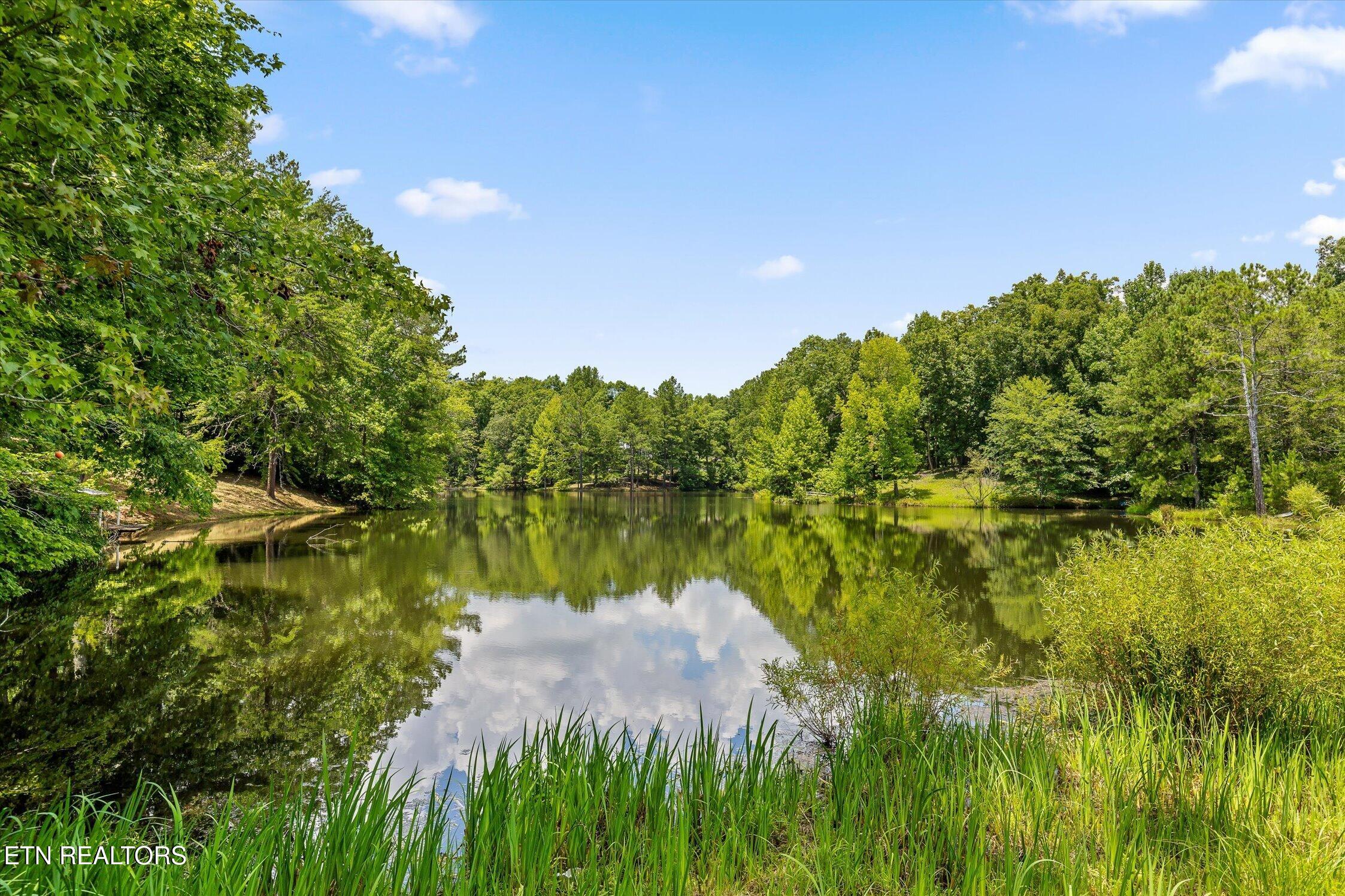 159 Dogwood Trail Cleveland TN 37323