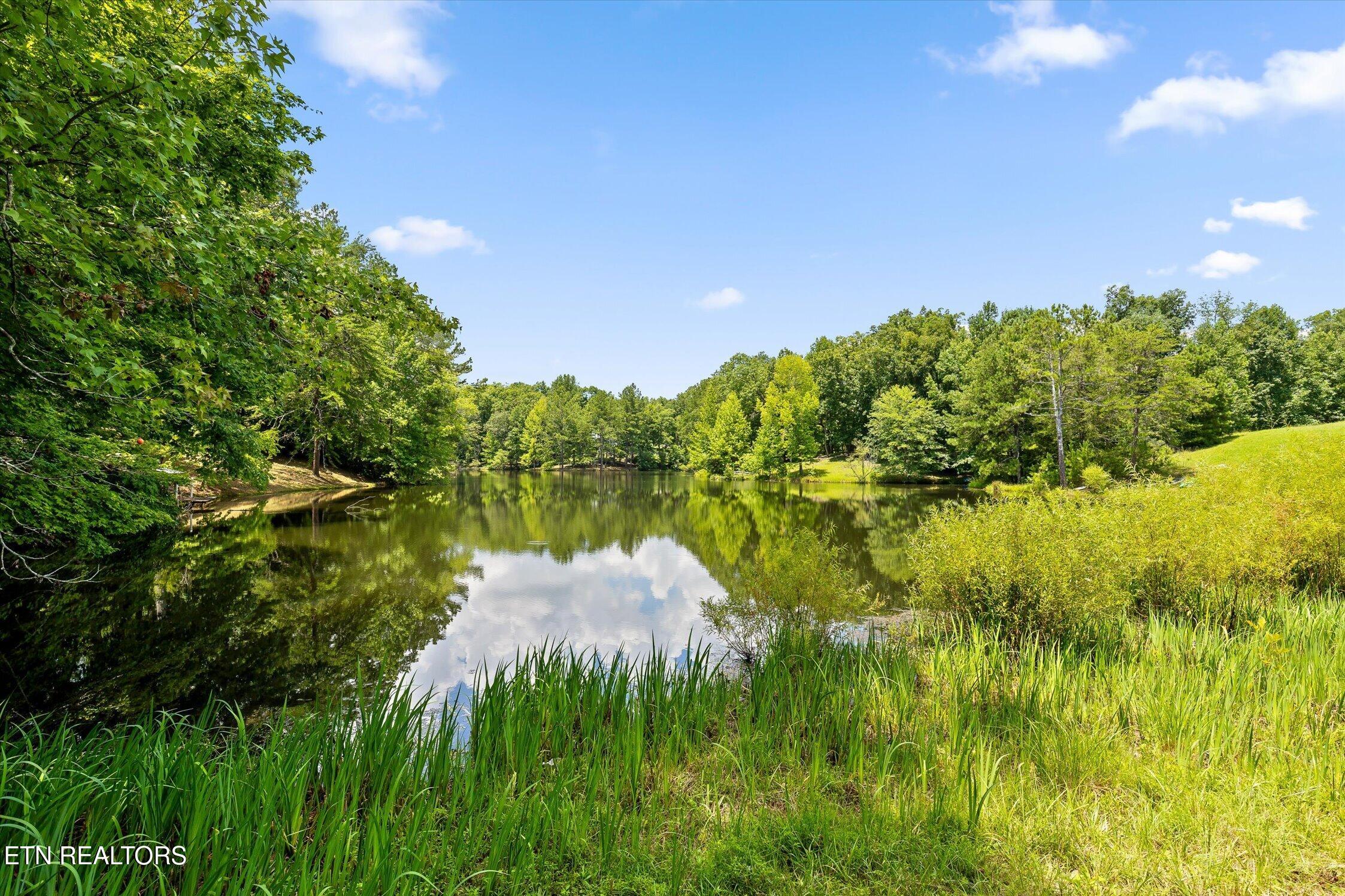 159 Dogwood Trail Cleveland TN 37323