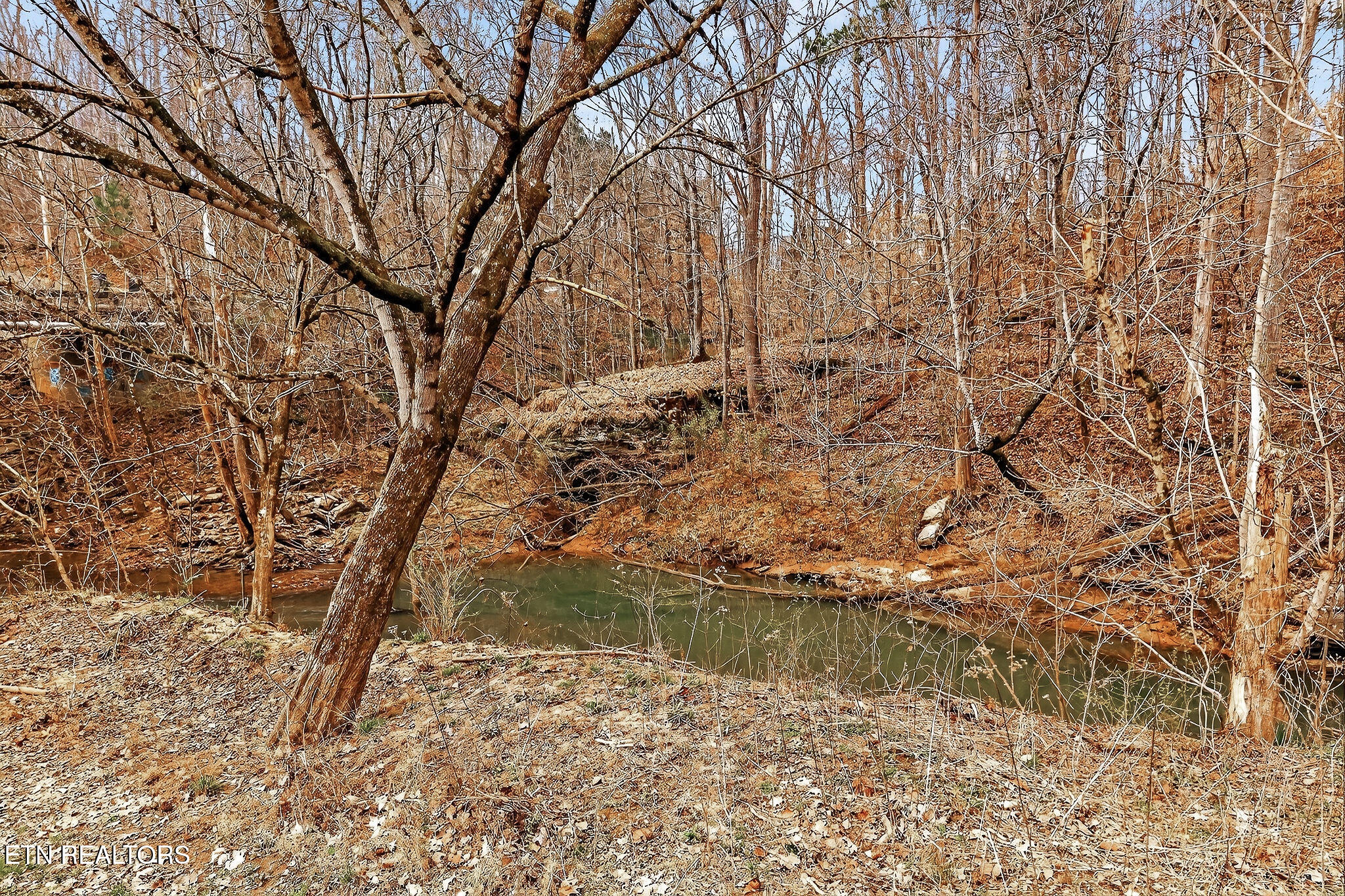 1220 Bob Bullock Road Cookeville TN 38506