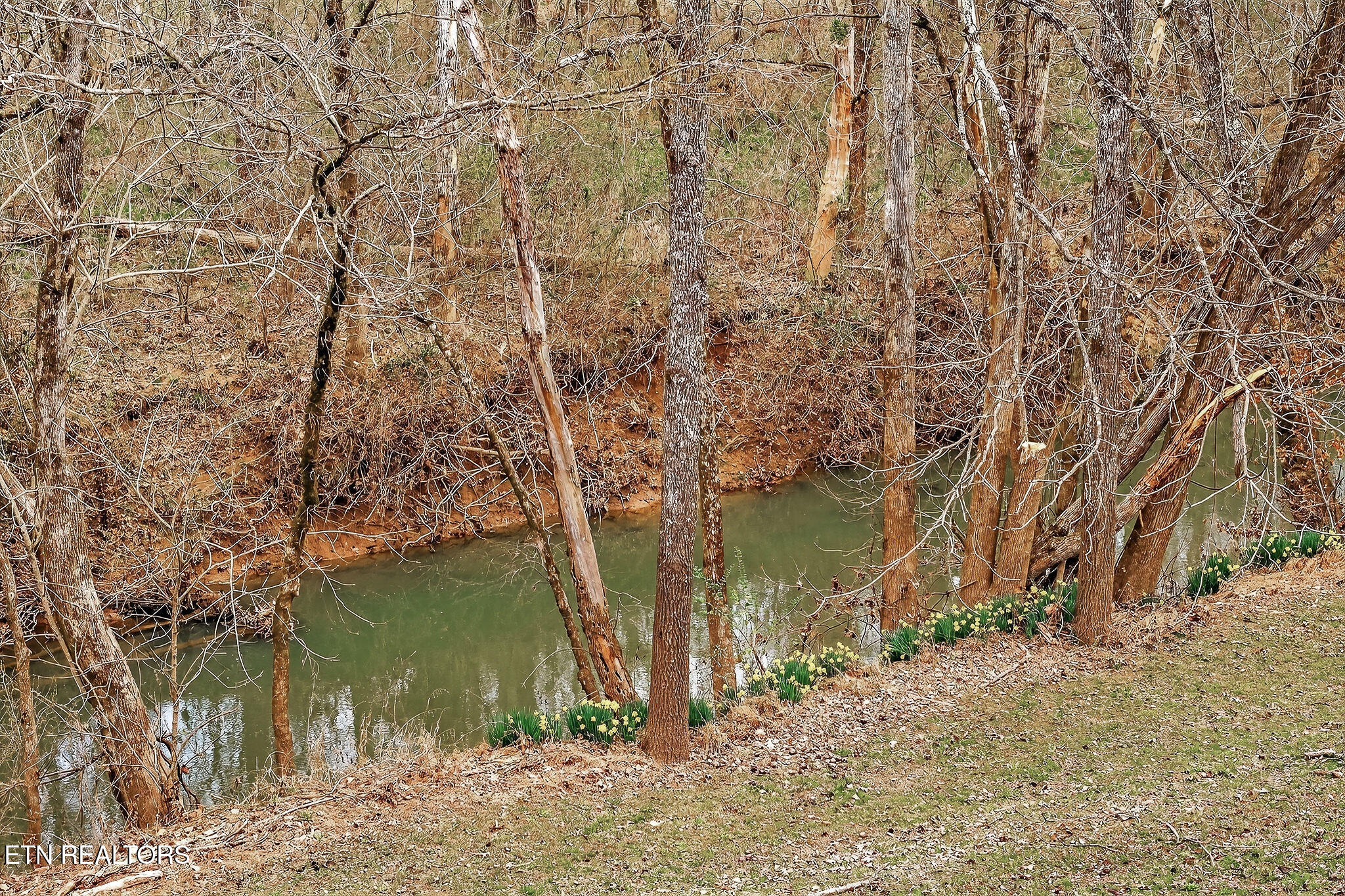1220 Bob Bullock Road Cookeville TN 38506