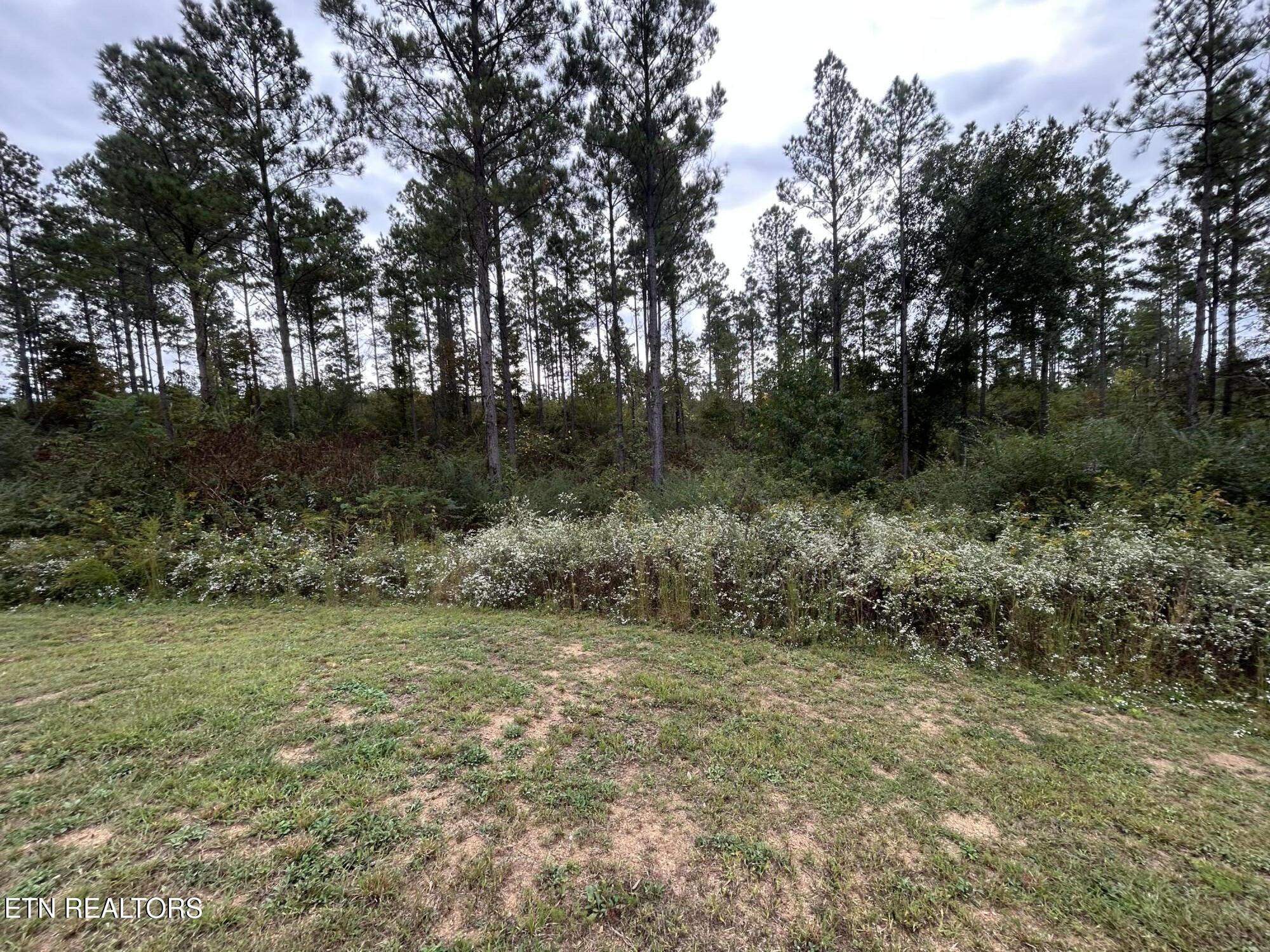 145 Pinhook Road Calhoun TN 37309
