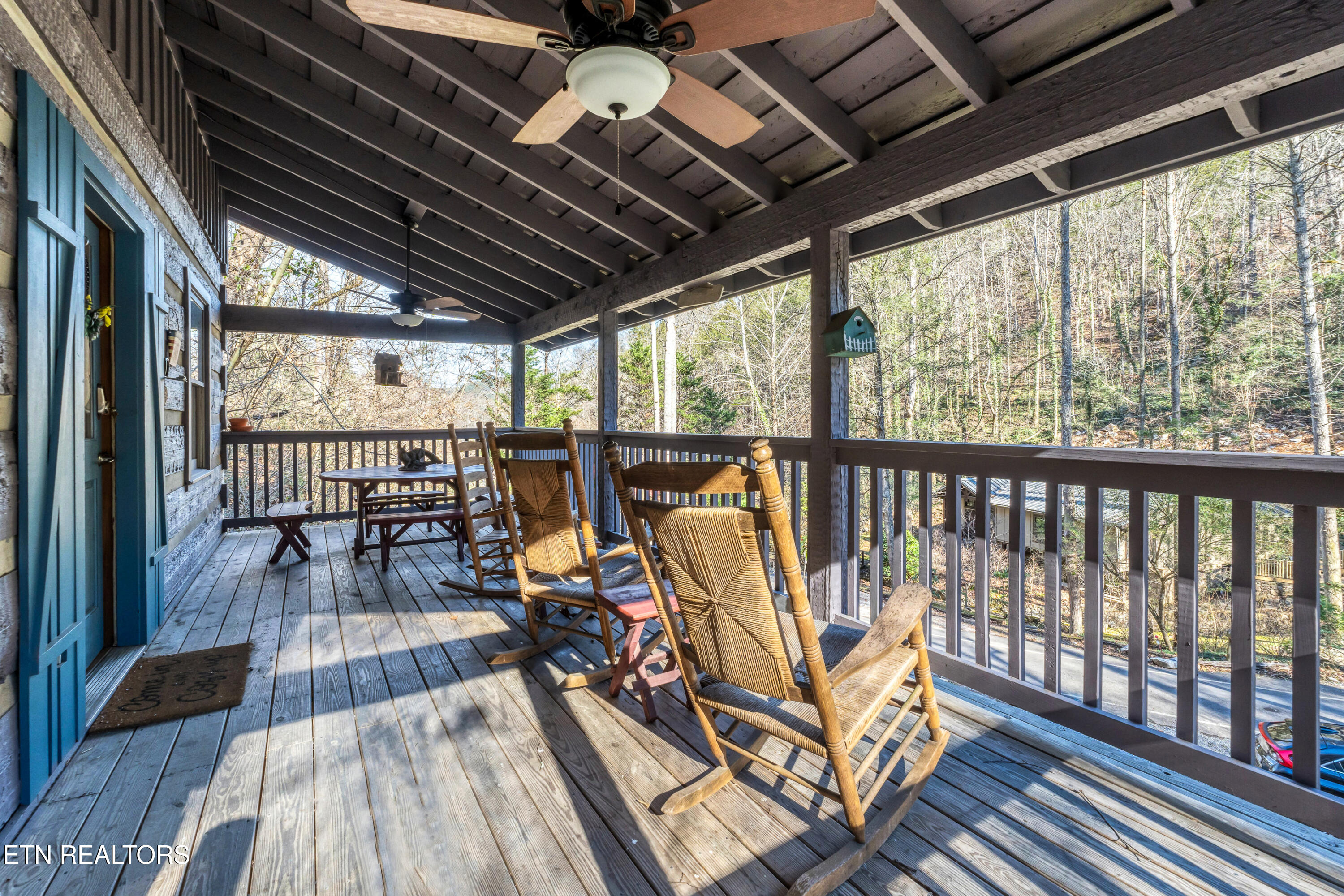 260 Black Mash Hollow Road Townsend TN 37882
