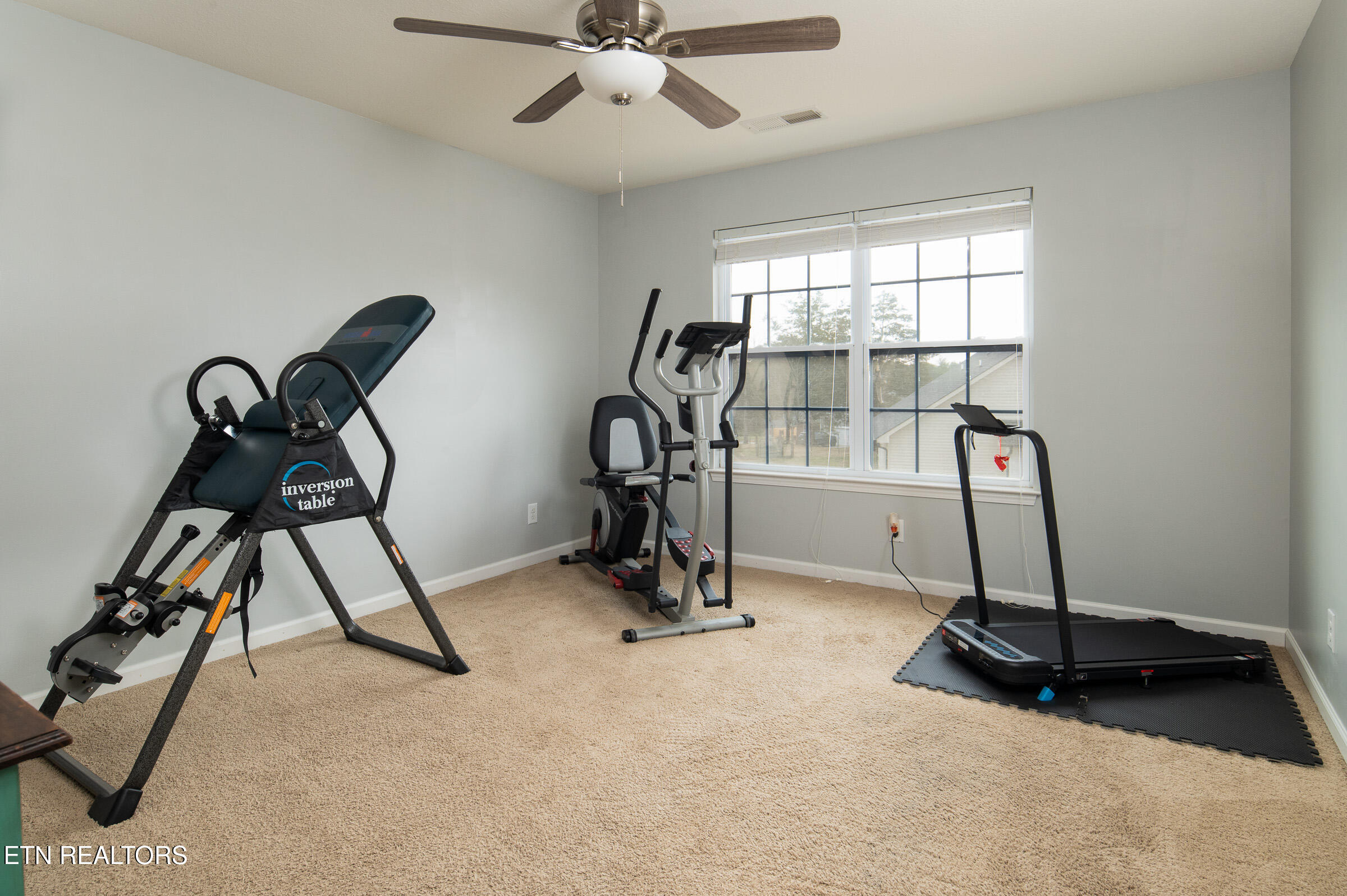 8259 Horseshoe Mesa Trail Corryton TN 37721