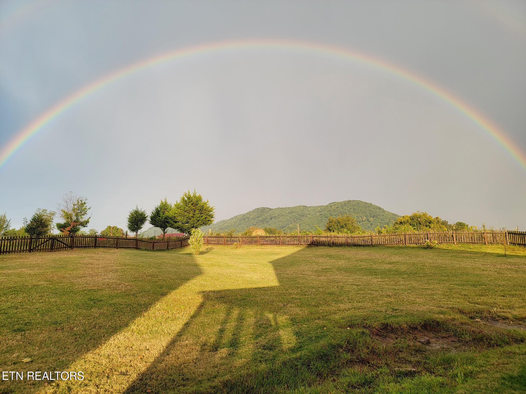 8259 Horseshoe Mesa Trail Corryton TN 37721