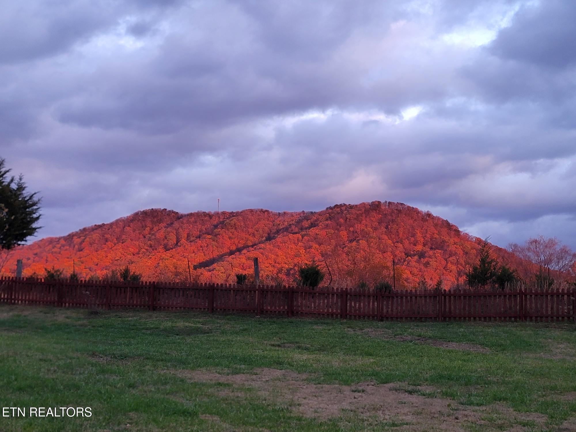 8259 Horseshoe Mesa Trail Corryton TN 37721
