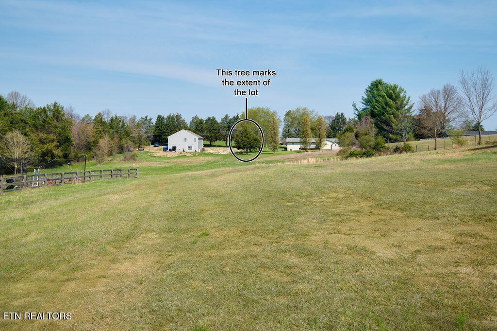 8259 Horseshoe Mesa Trail Corryton TN 37721