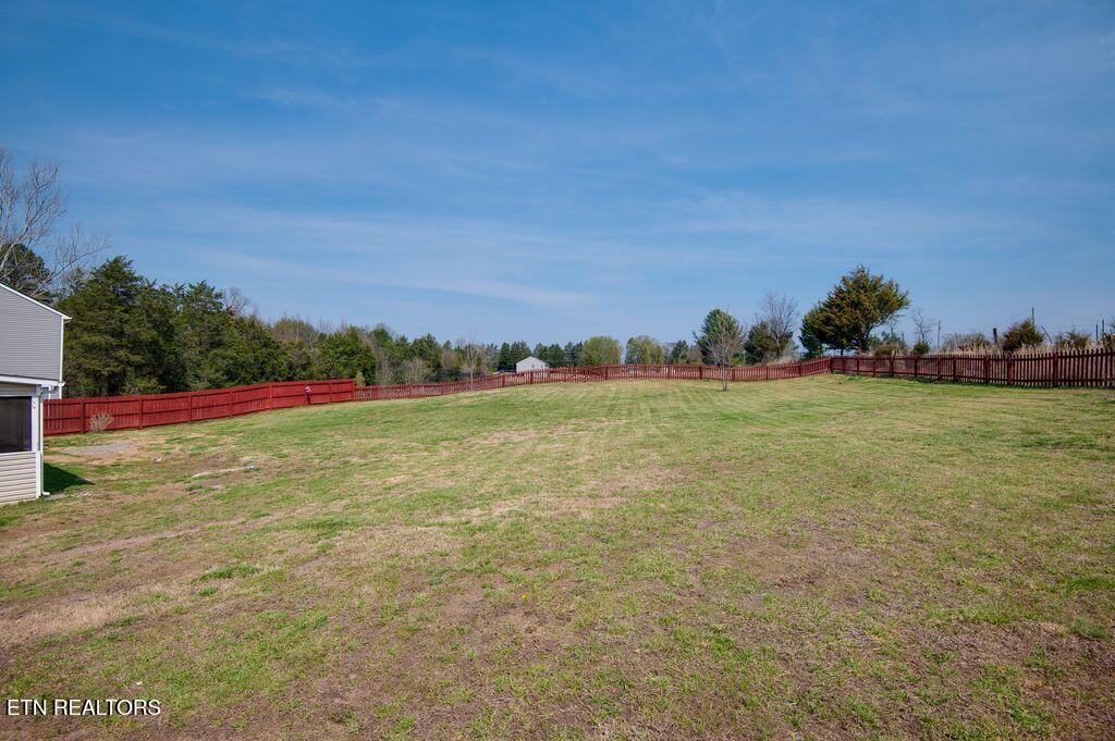 8259 Horseshoe Mesa Trail Corryton TN 37721