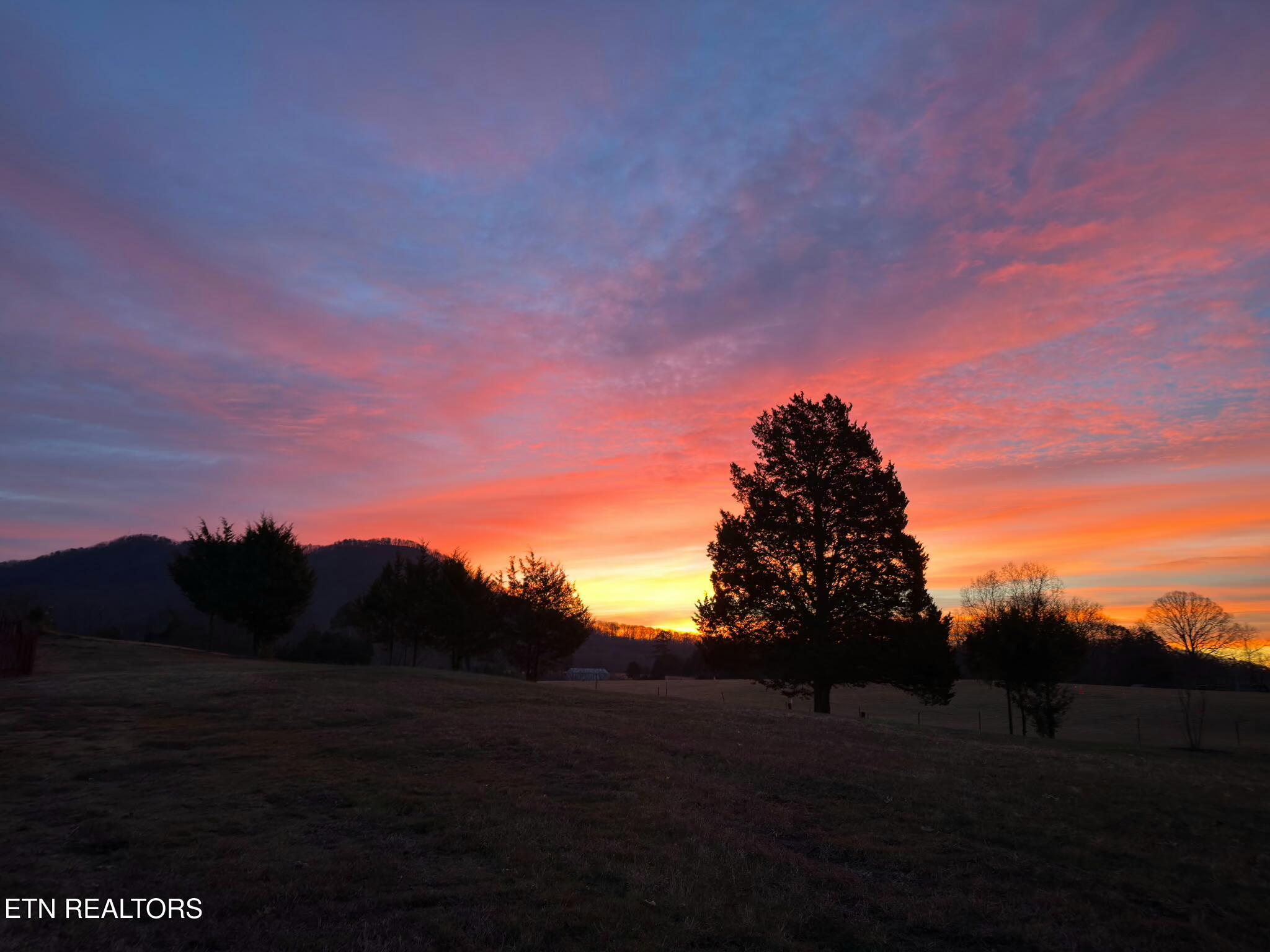 8259 Horseshoe Mesa Trail Corryton TN 37721
