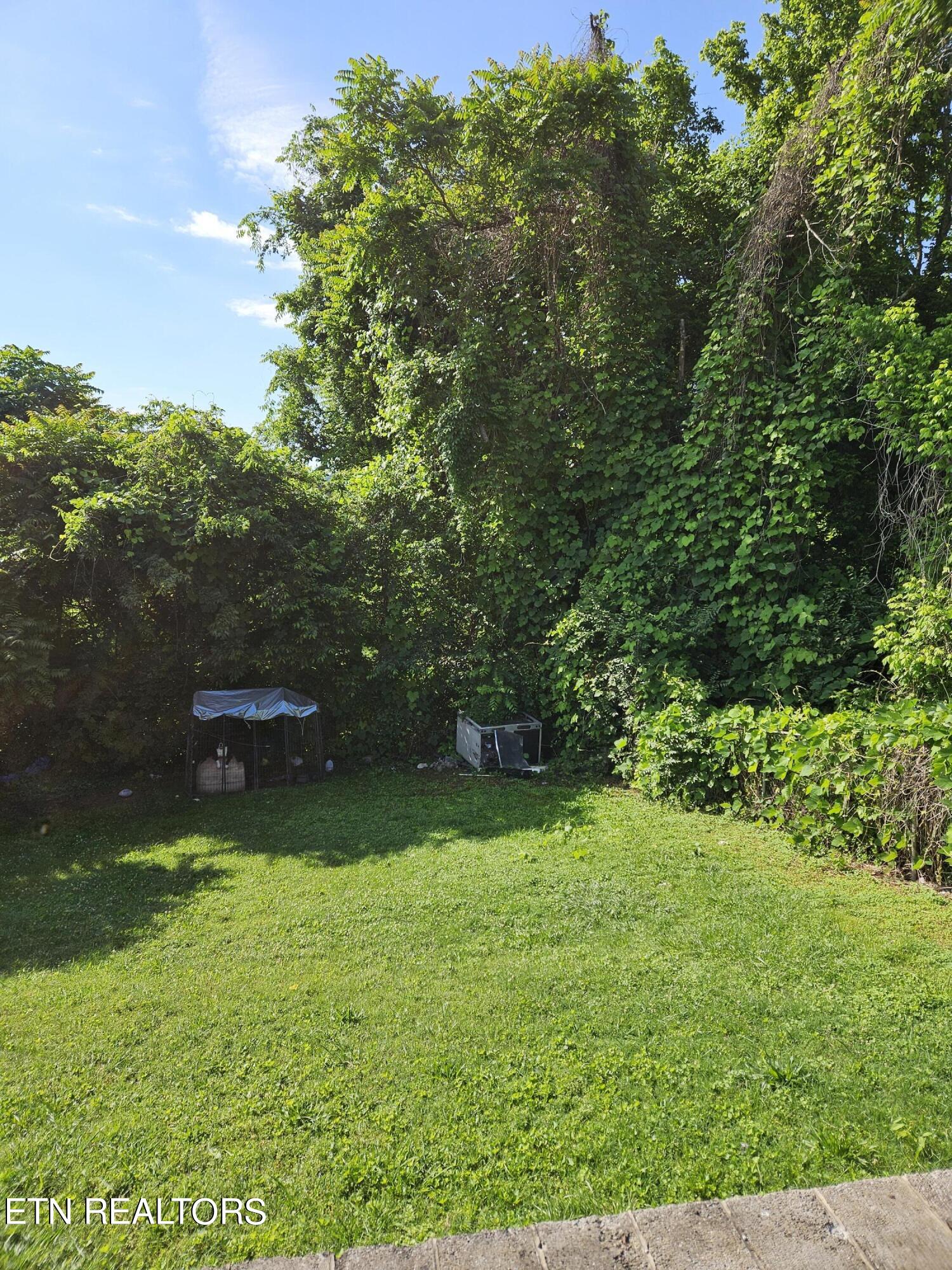 334 Margrave Drive Harriman TN 37748