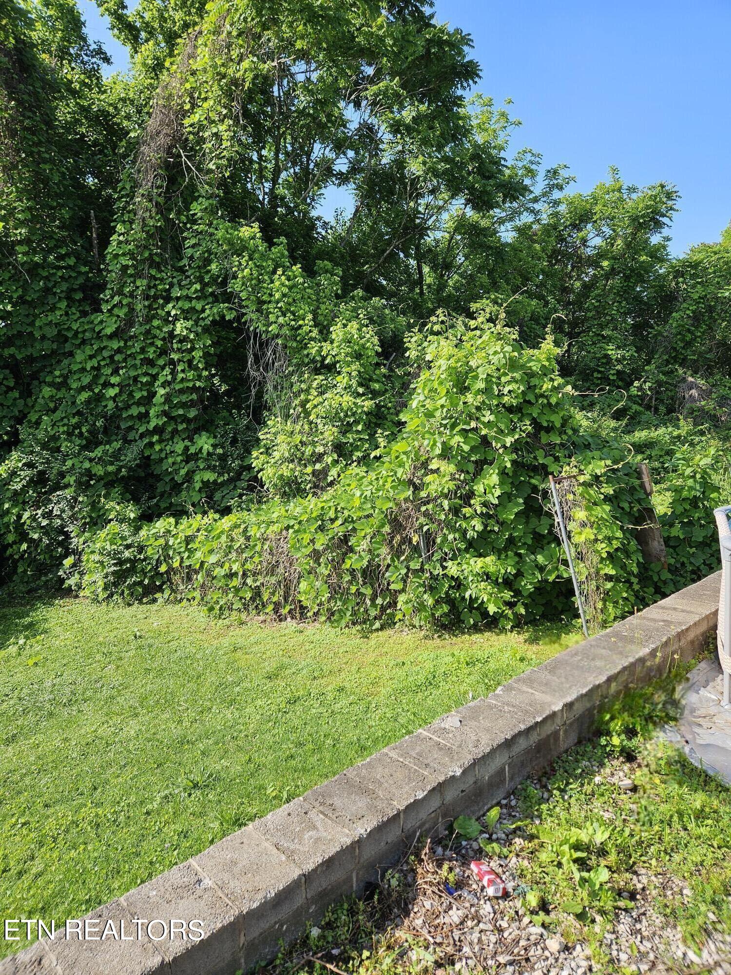 334 Margrave Drive Harriman TN 37748