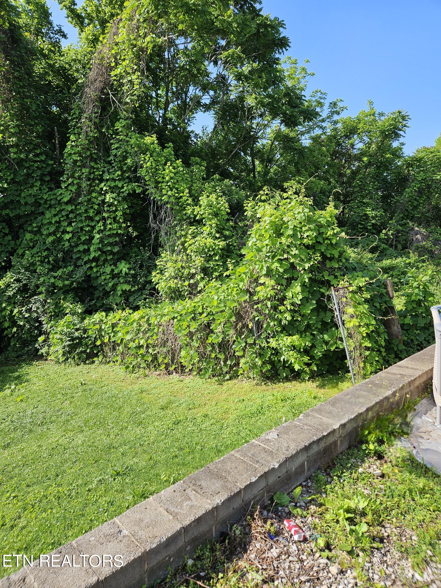 334 Margrave Drive Harriman TN 37748