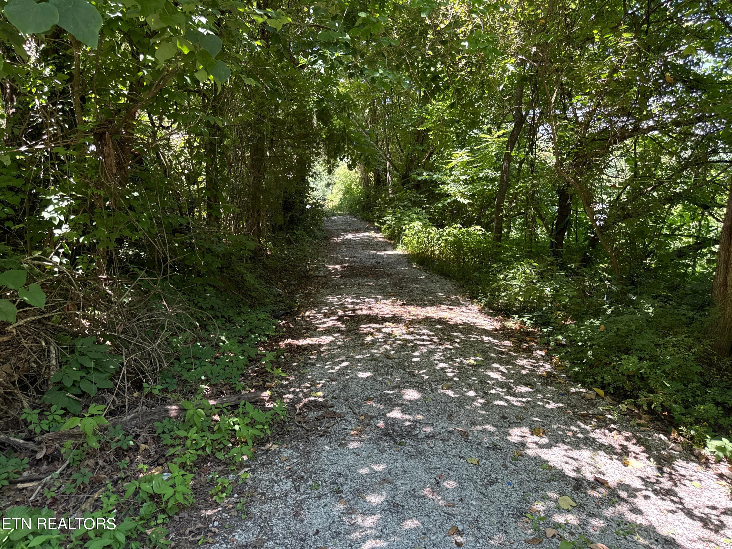 1325 Sharp Lane Caryville TN 37714