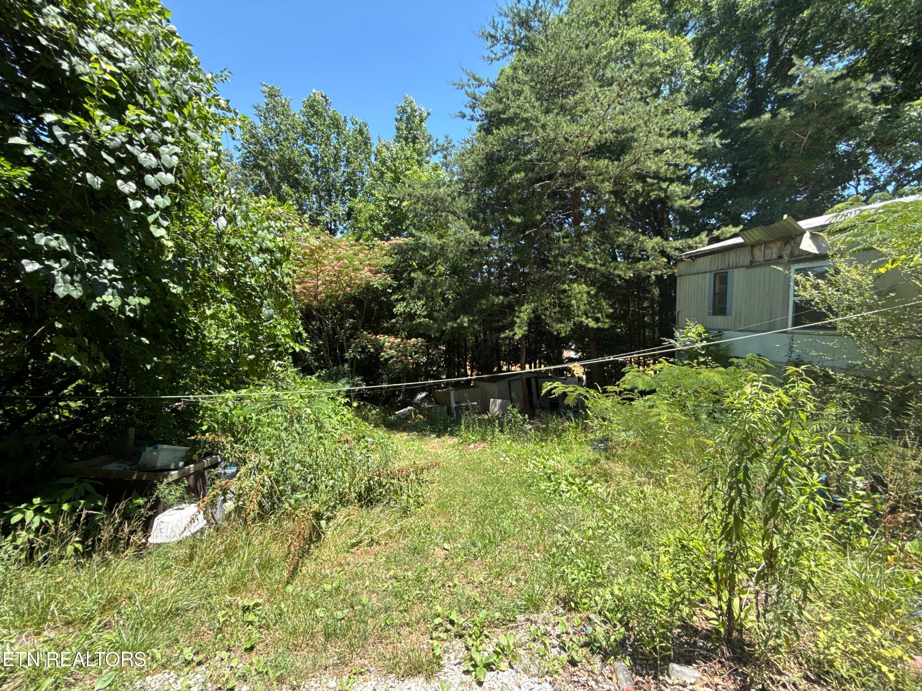1325 Sharp Lane Caryville TN 37714