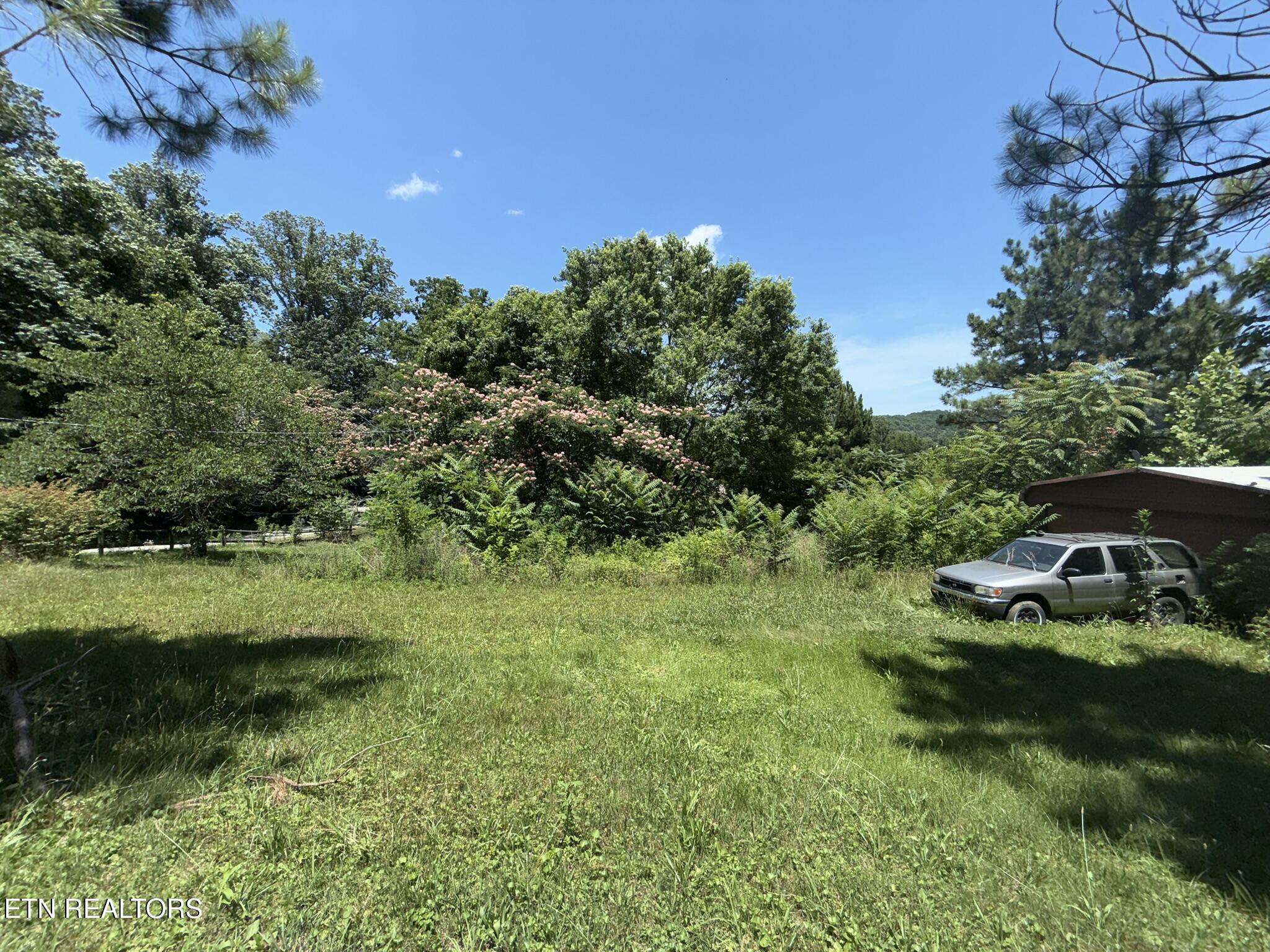 1325 Sharp Lane Caryville TN 37714