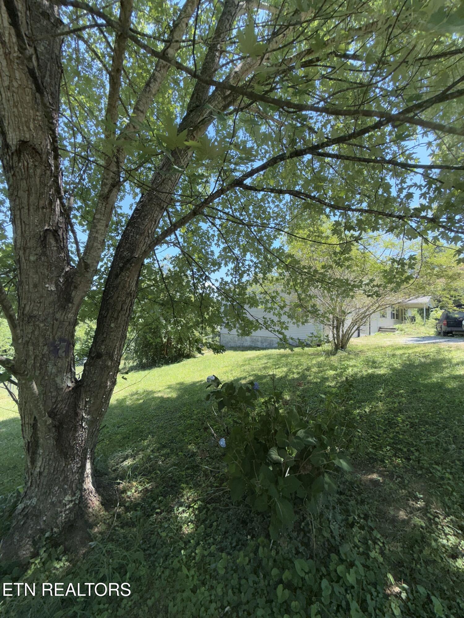 1325 Sharp Lane Caryville TN 37714