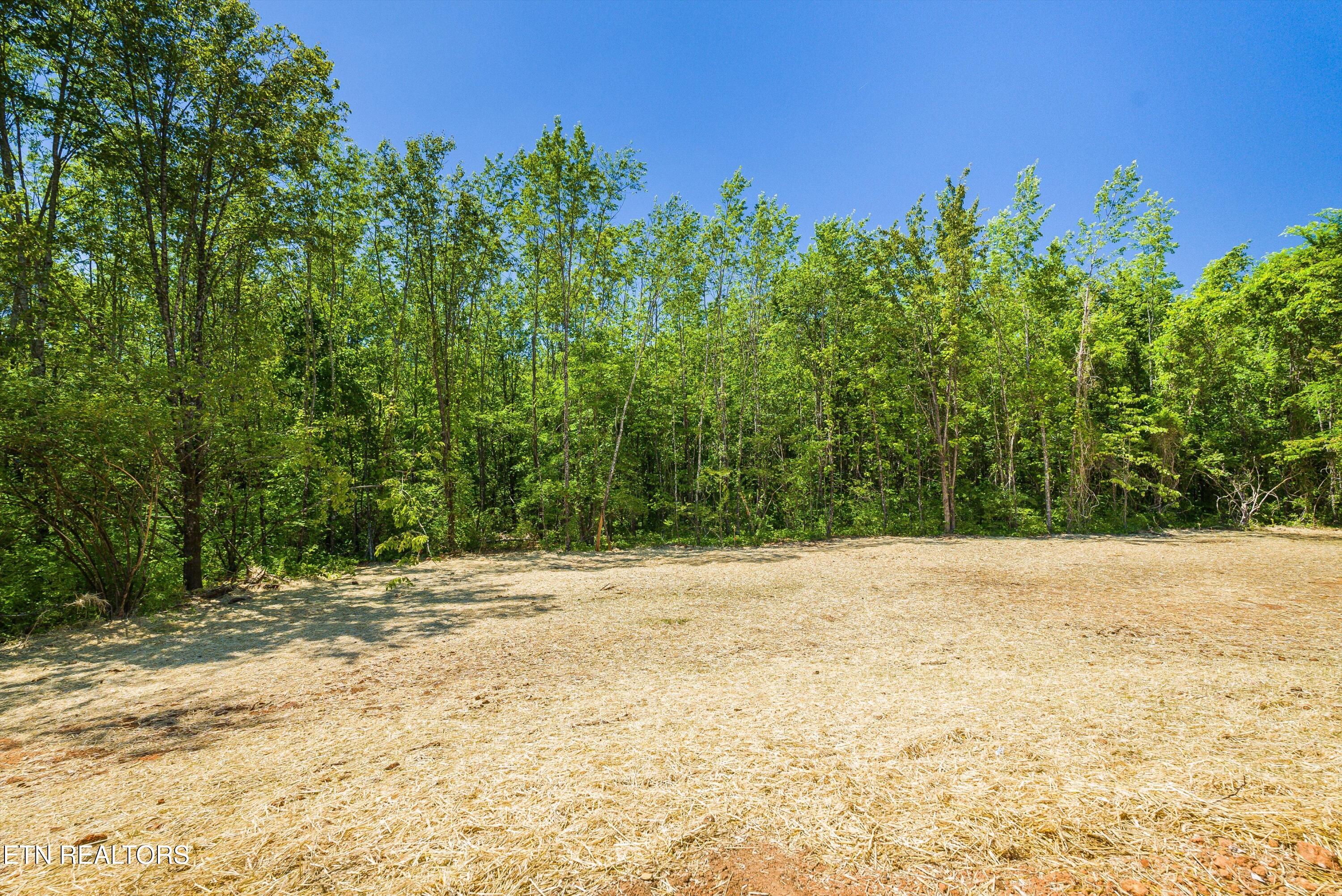 1038 S Linden Drive Alcoa TN 37701