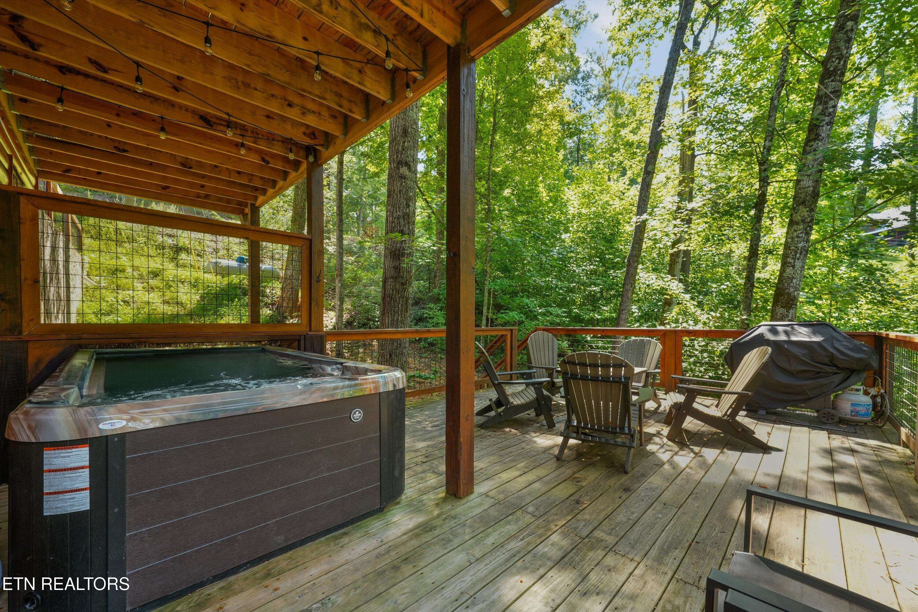 374 Buena Vista Drive Sevierville TN 37876