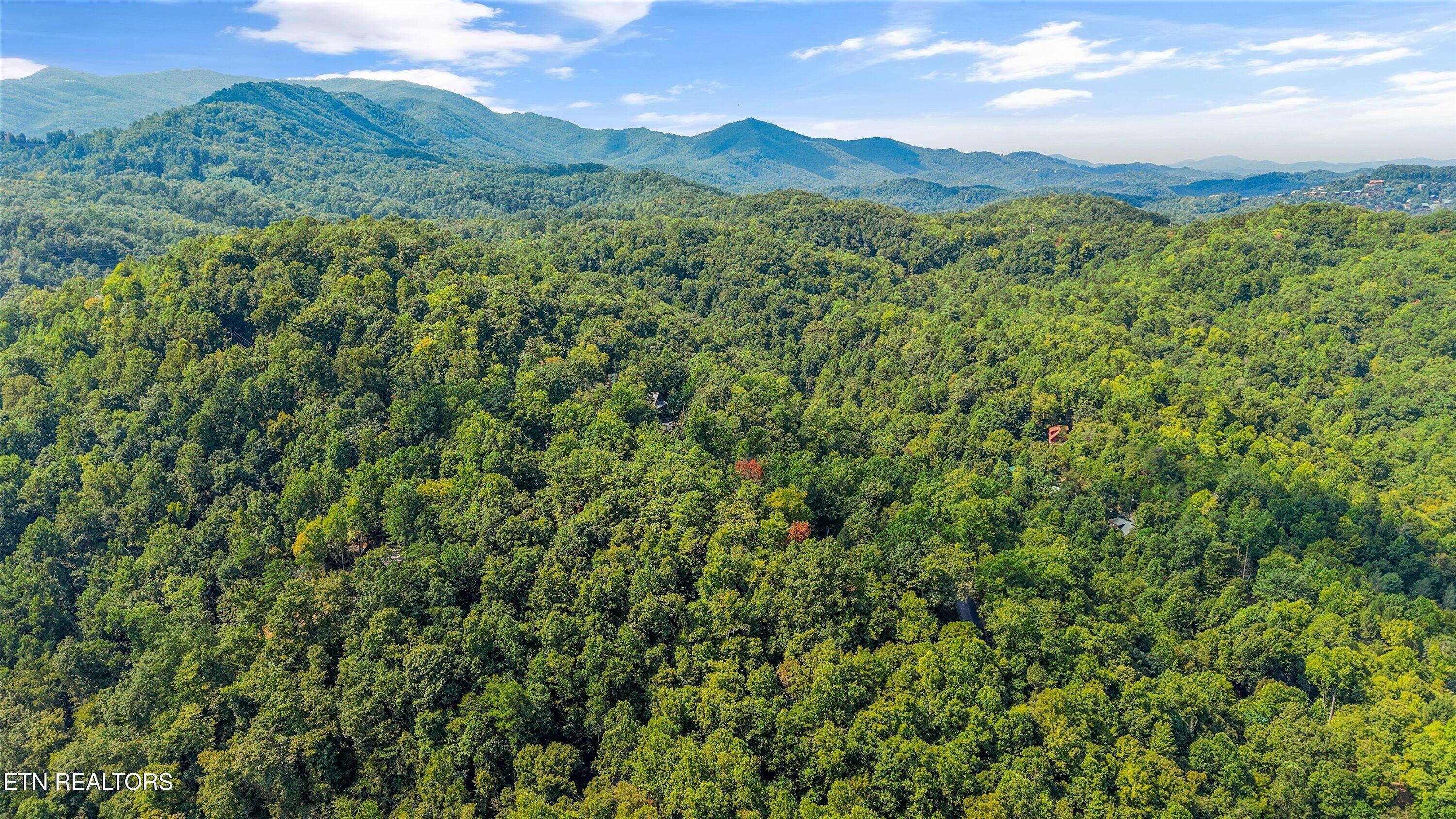 374 Buena Vista Drive Sevierville TN 37876