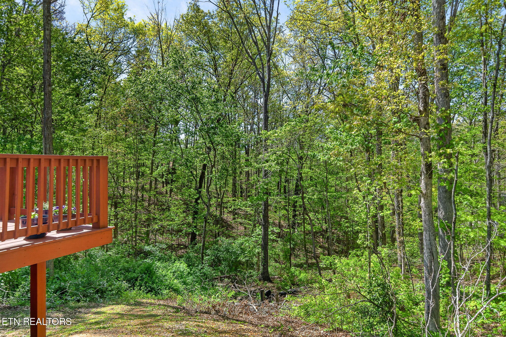 106 Windcrest Drive Jamestown TN 38556