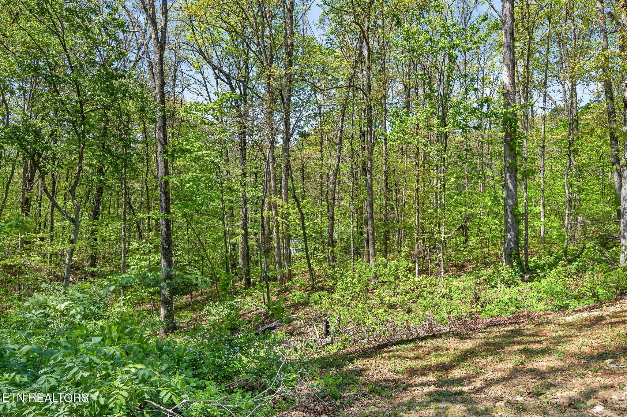 106 Windcrest Drive Jamestown TN 38556