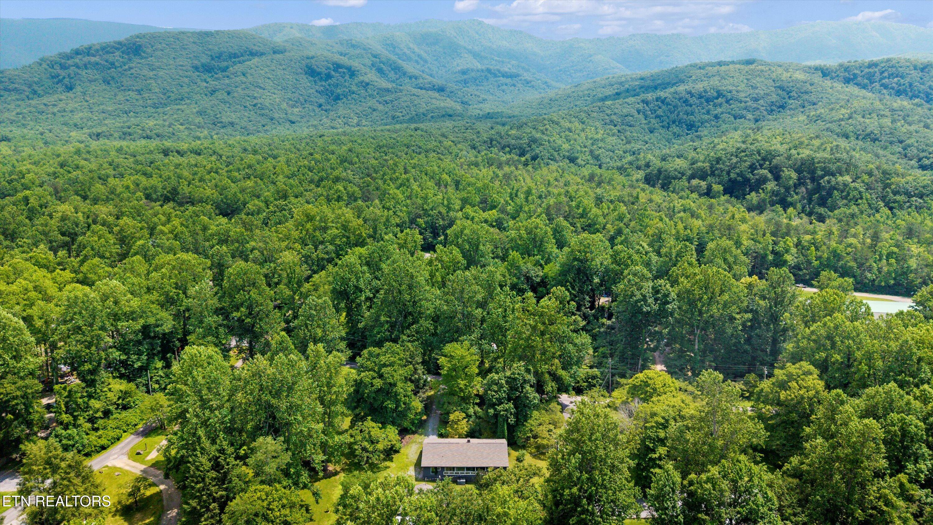 4533 E Scenic Drive Gatlinburg TN 37738