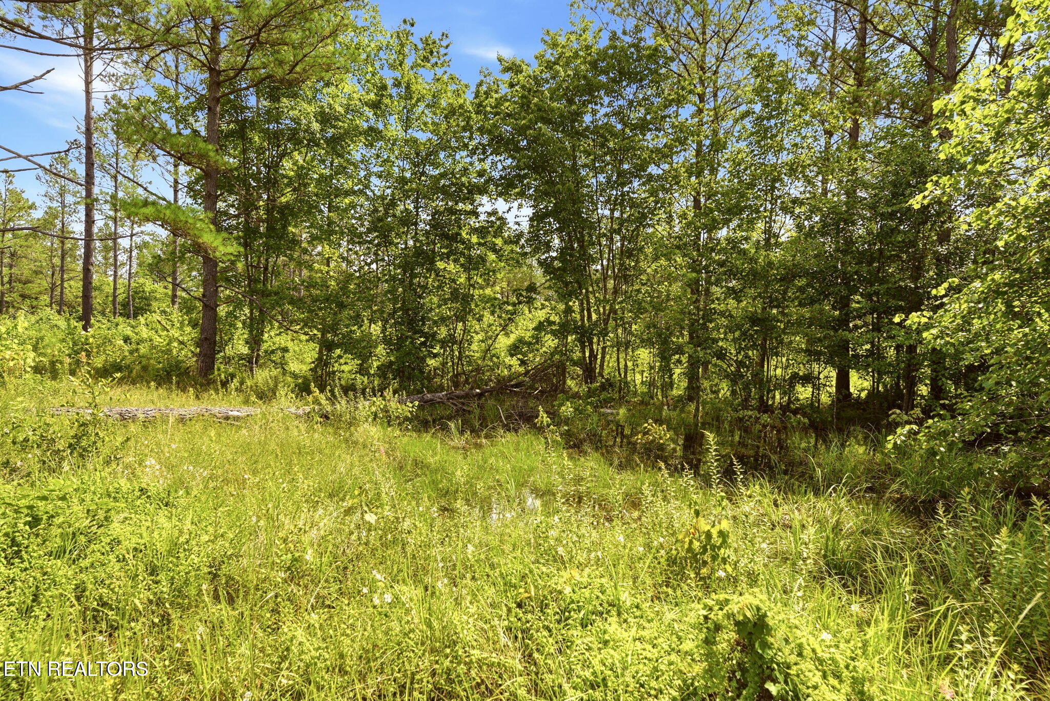 139 Boone Lane Sunbright TN 37872