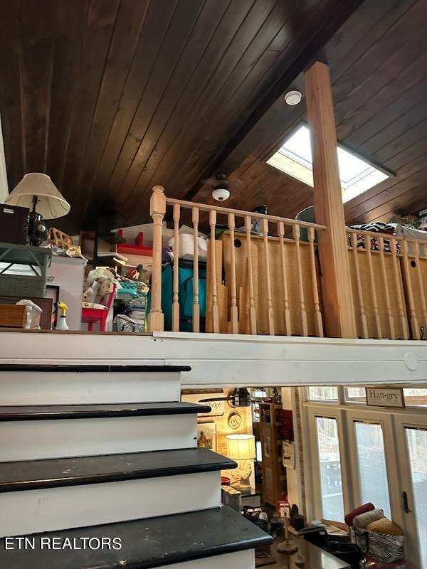 135 White Creek Court Deer Lodge TN 37726